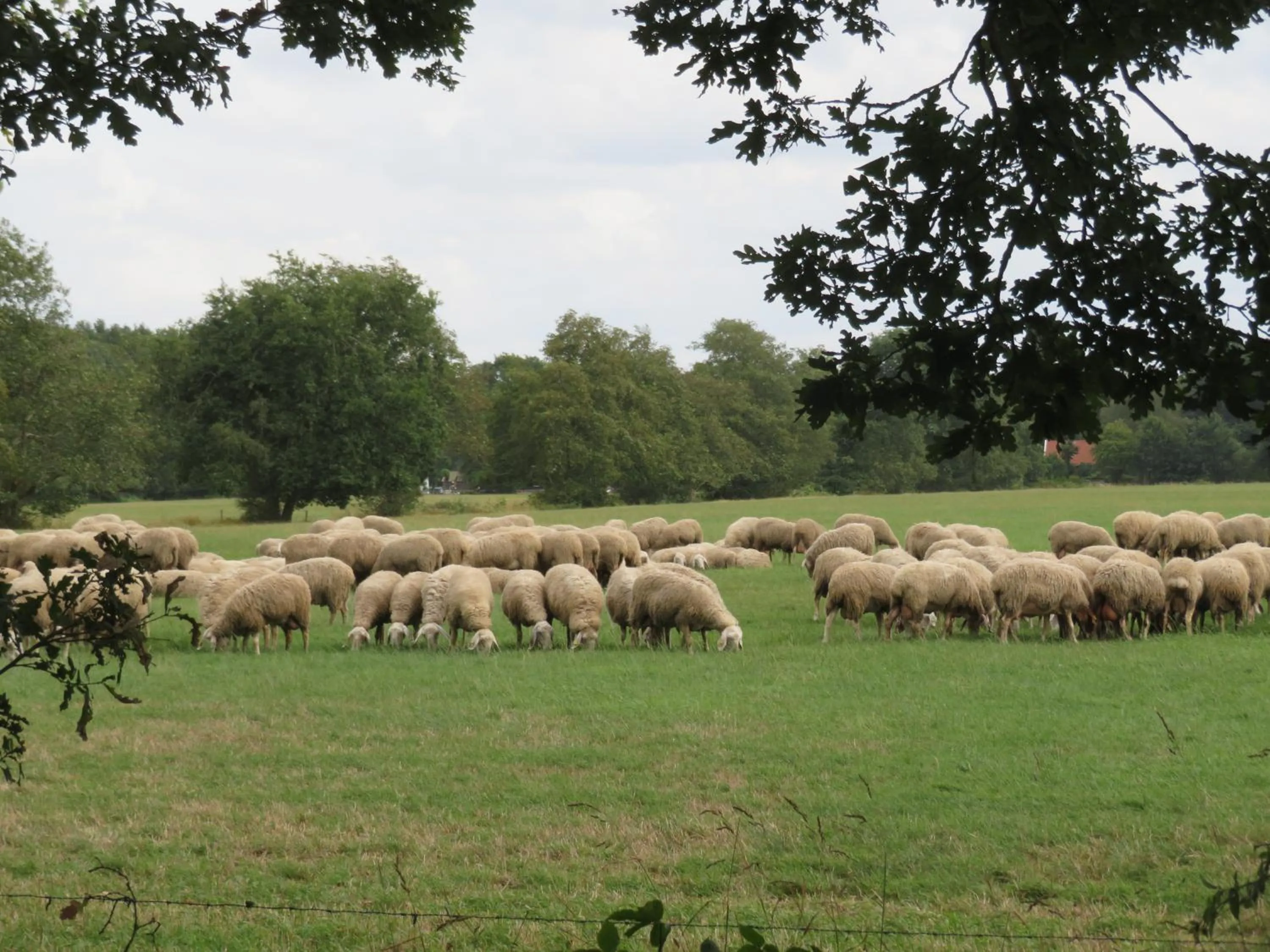 View (from property/room) in B&B Singelstate