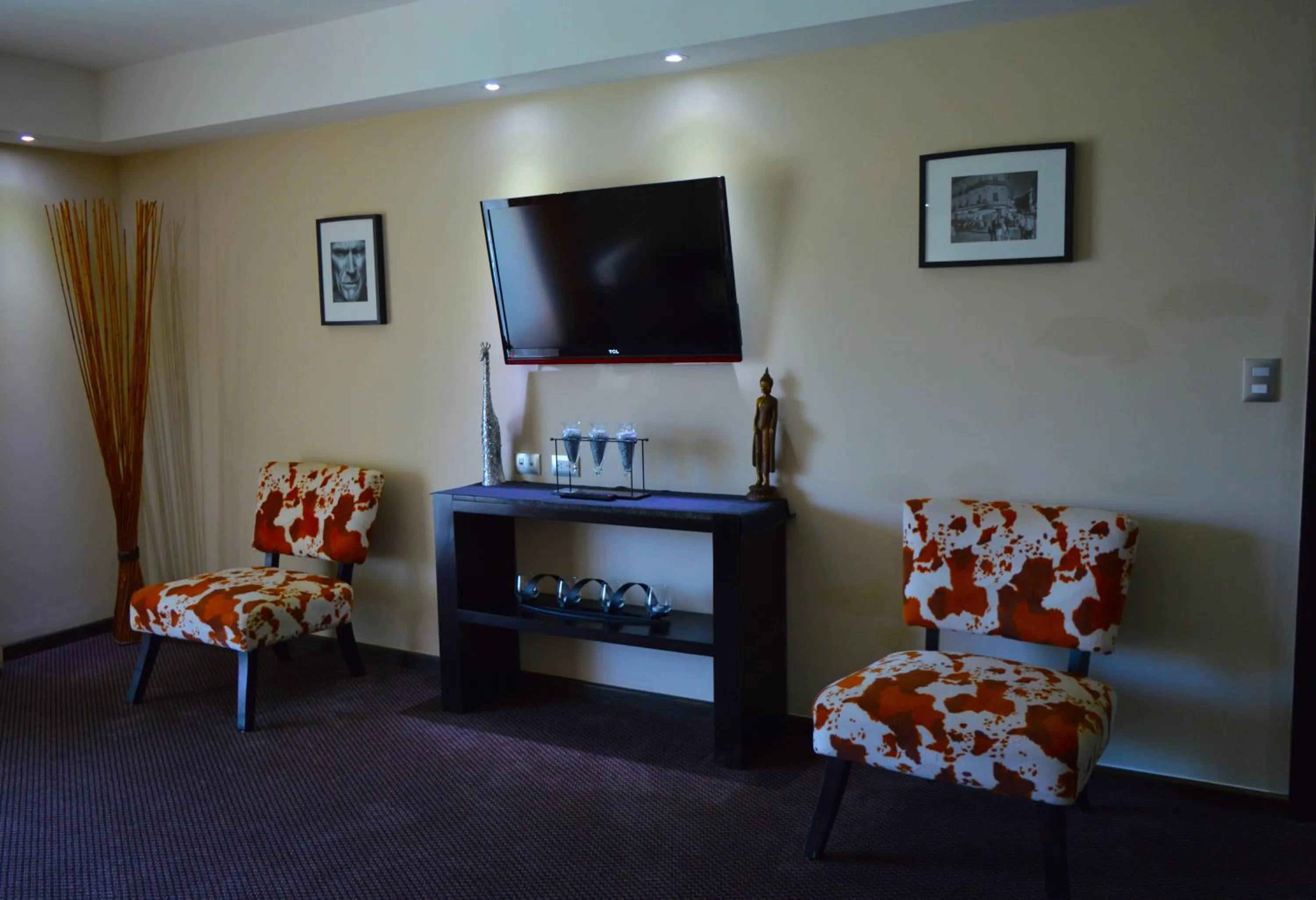 TV and multimedia in Savoy Hotel Boutique