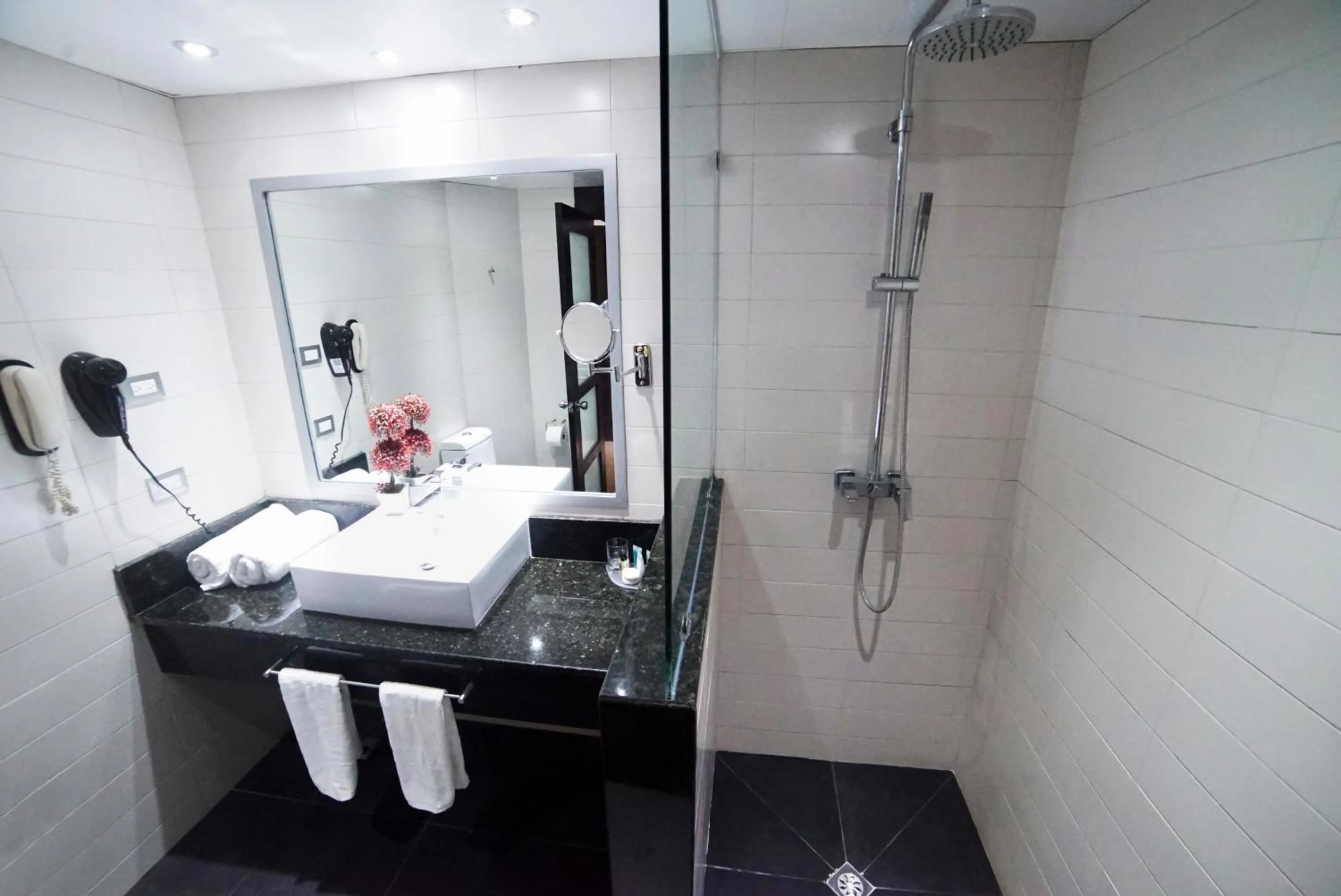 Shower in Savoy Hotel Boutique