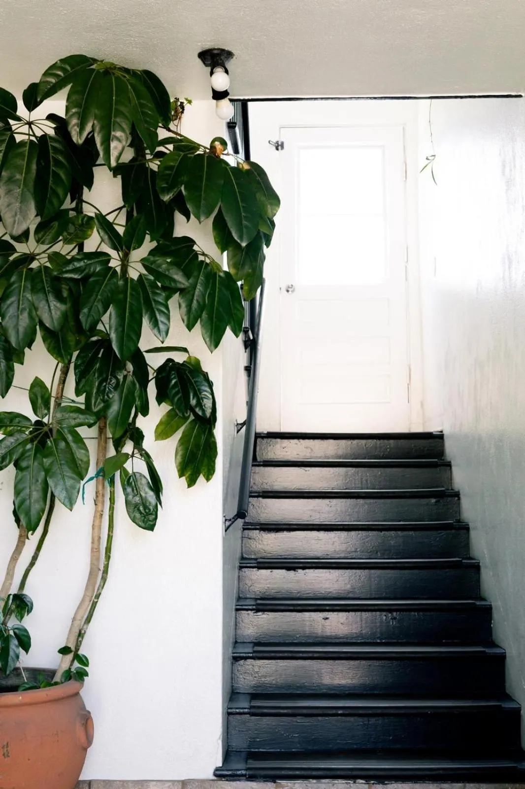 Property building in Seaside Laguna Inn & Suites