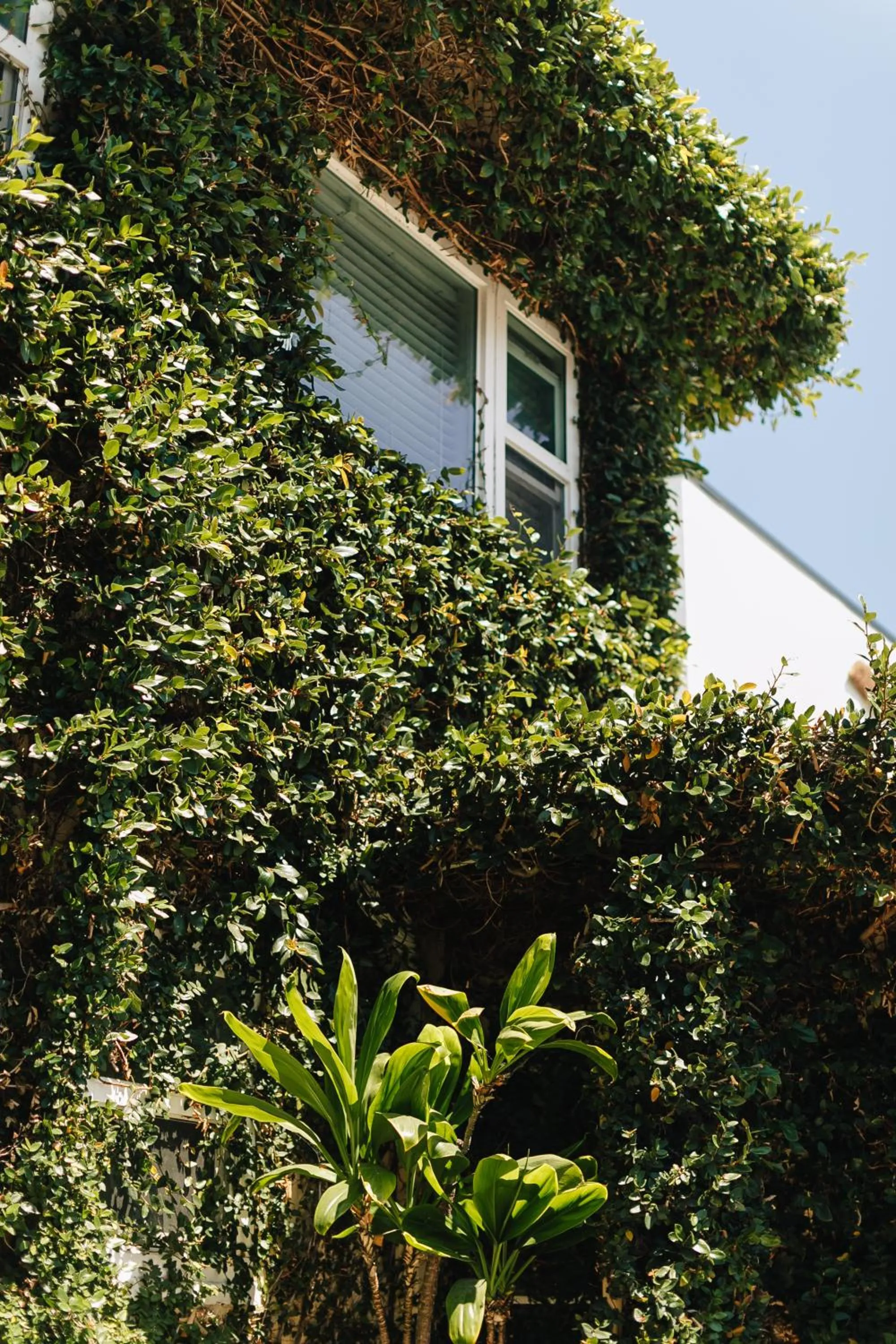 Property building in Seaside Laguna Inn & Suites