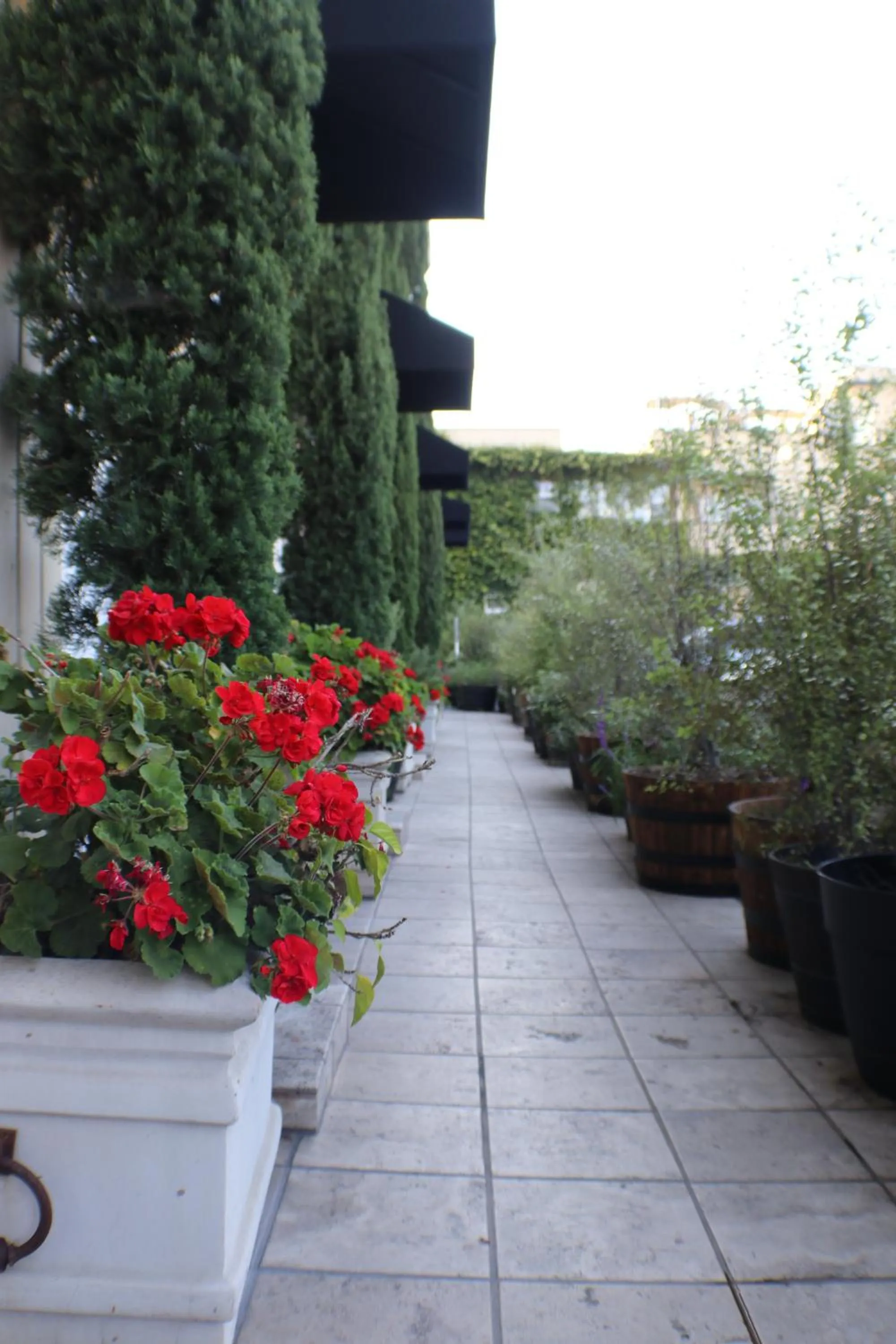 Property building in Seaside Laguna Inn & Suites