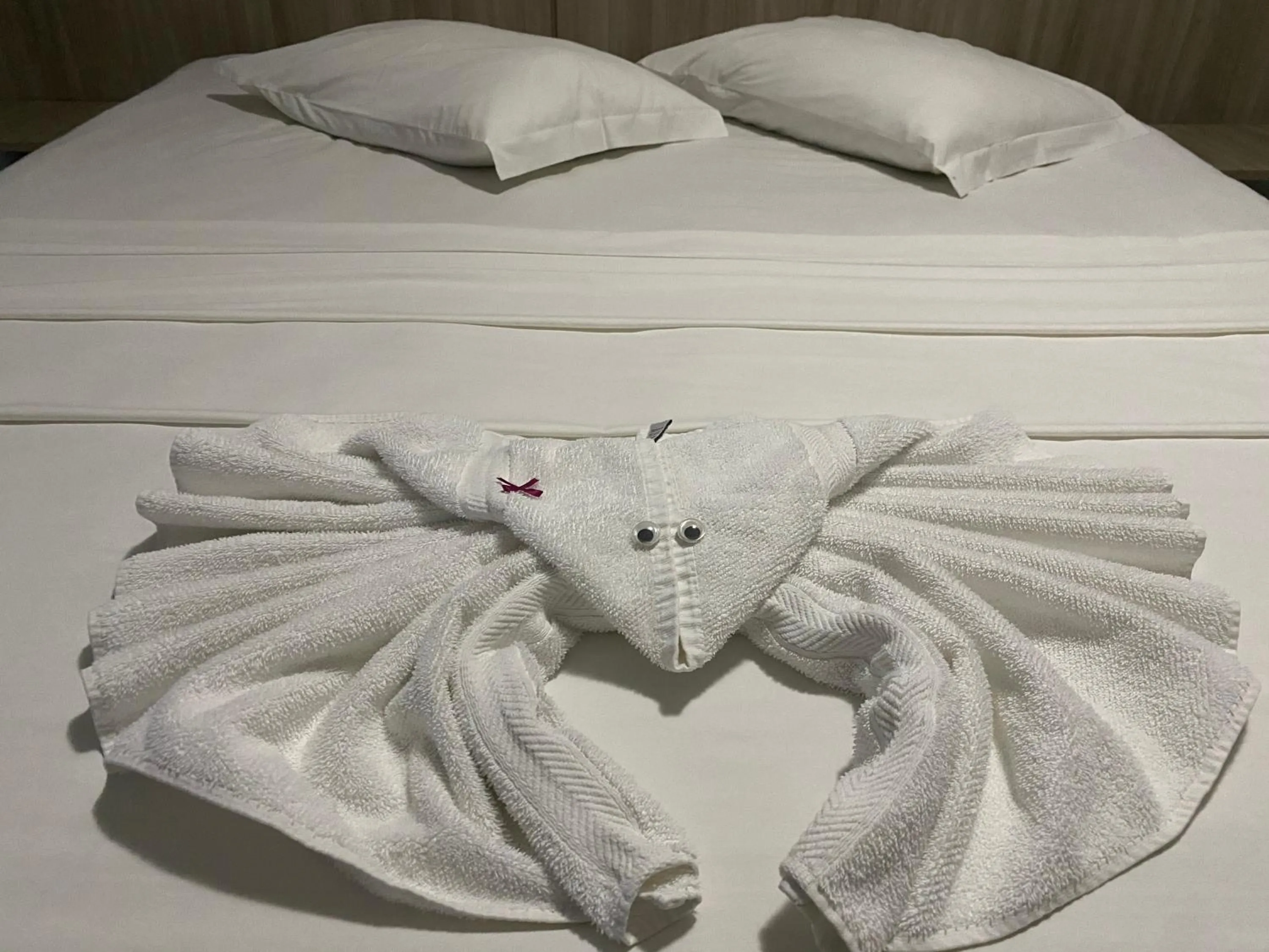 towels, Bed in Hotel Fortaleza Inn