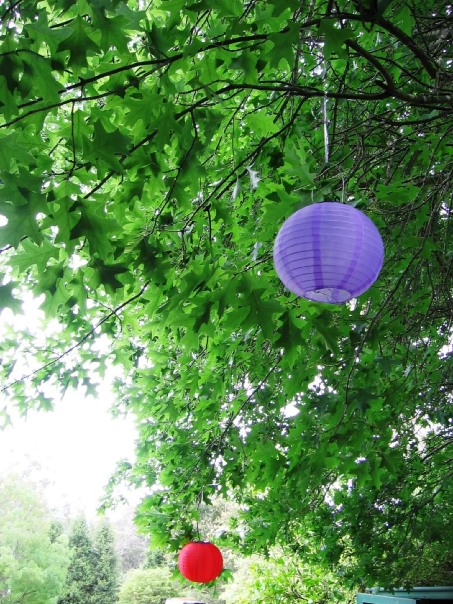 Garden in Bowral Road Art Gallery Bed and Breakfast