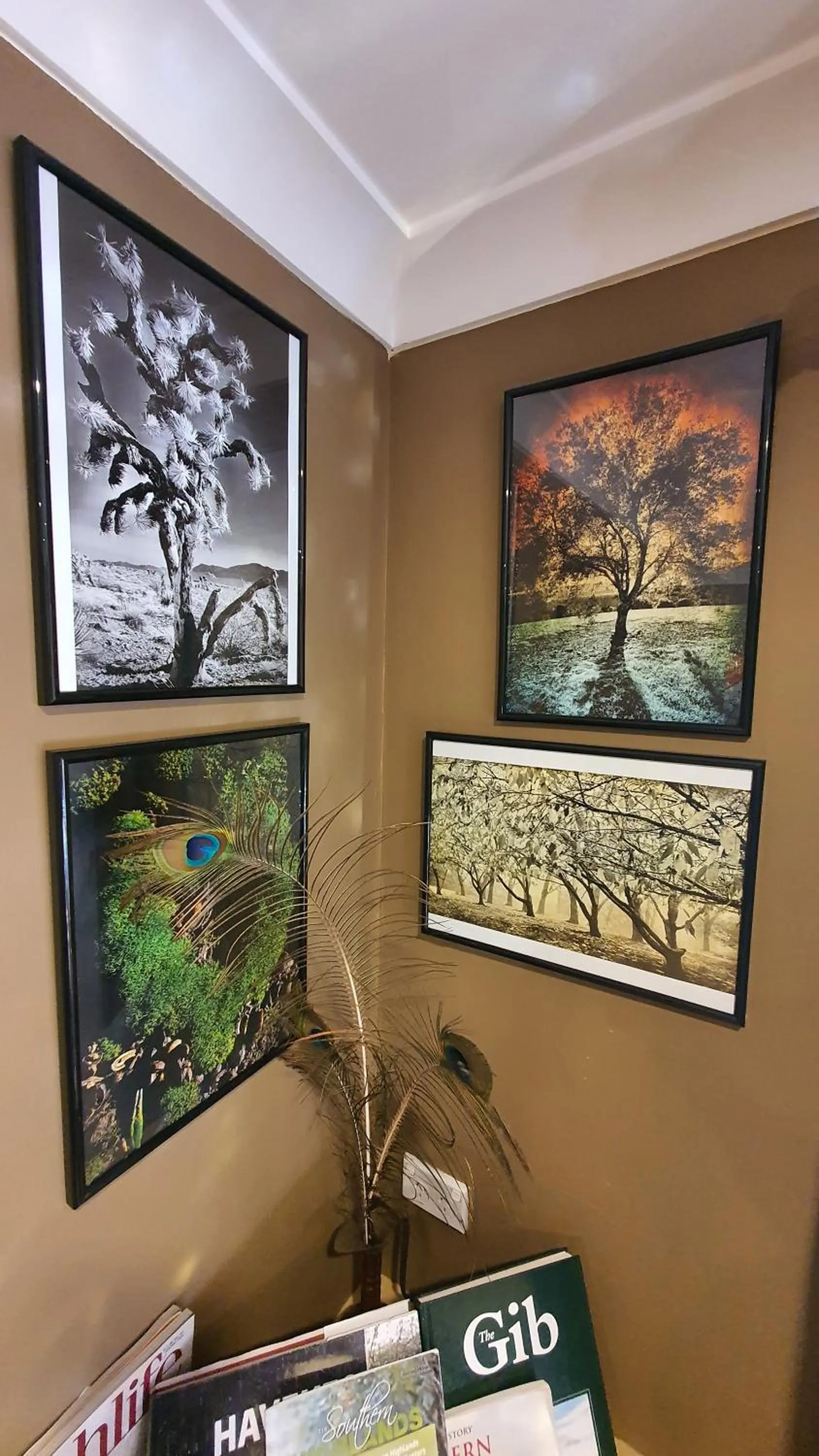 Bowral Road Art Gallery Bed and Breakfast