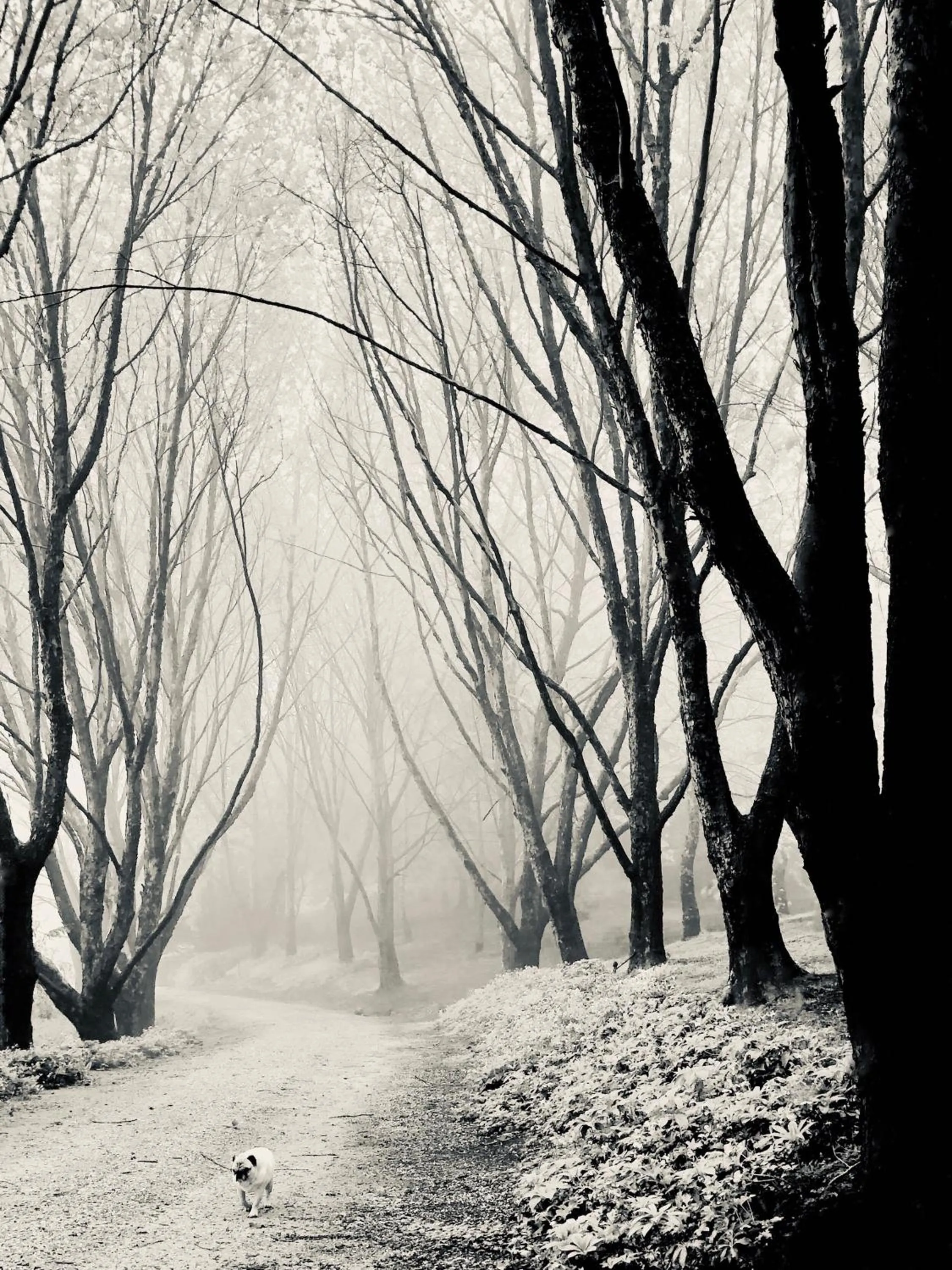 Bowral Road Art Gallery Bed and Breakfast