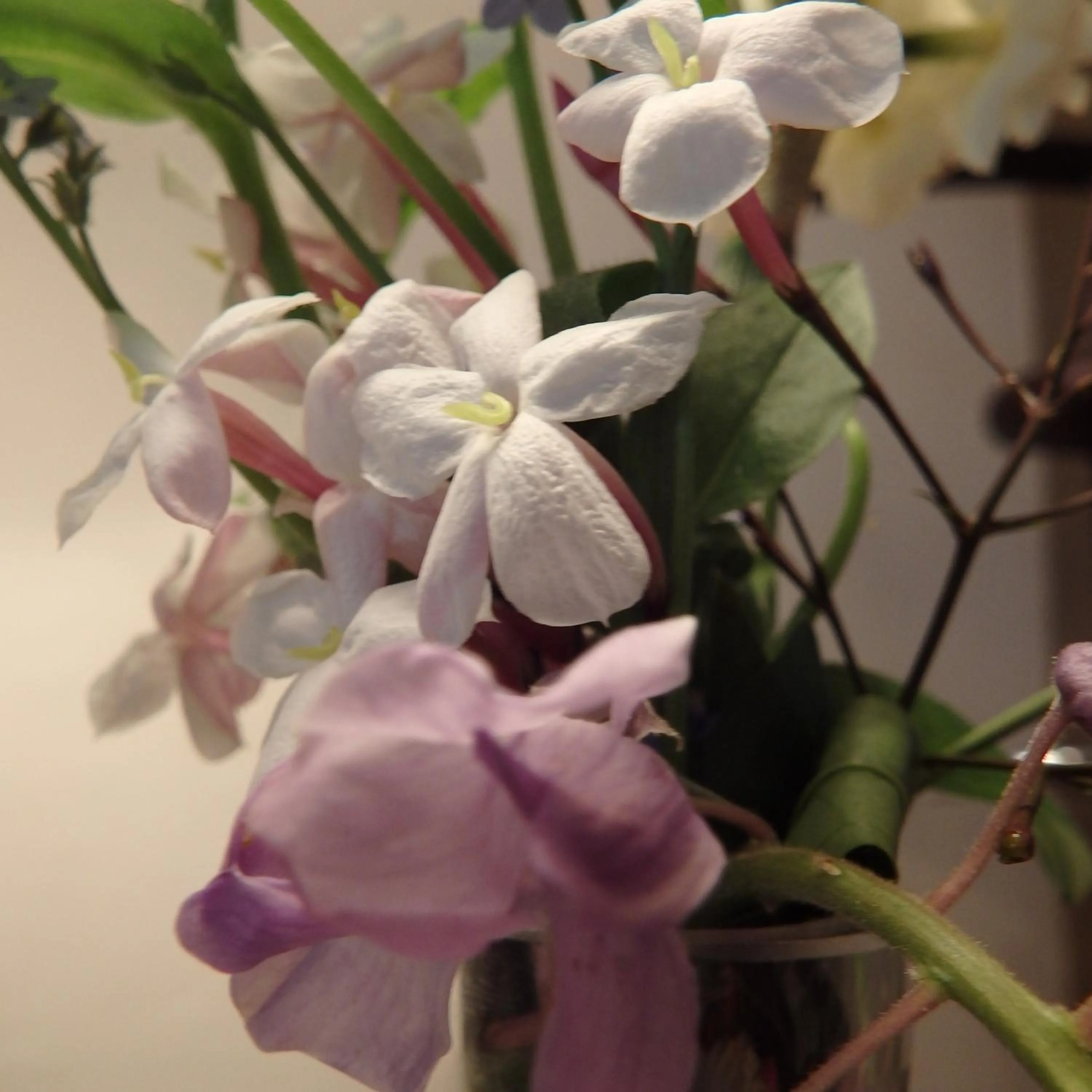 Bowral Road Art Gallery Bed and Breakfast