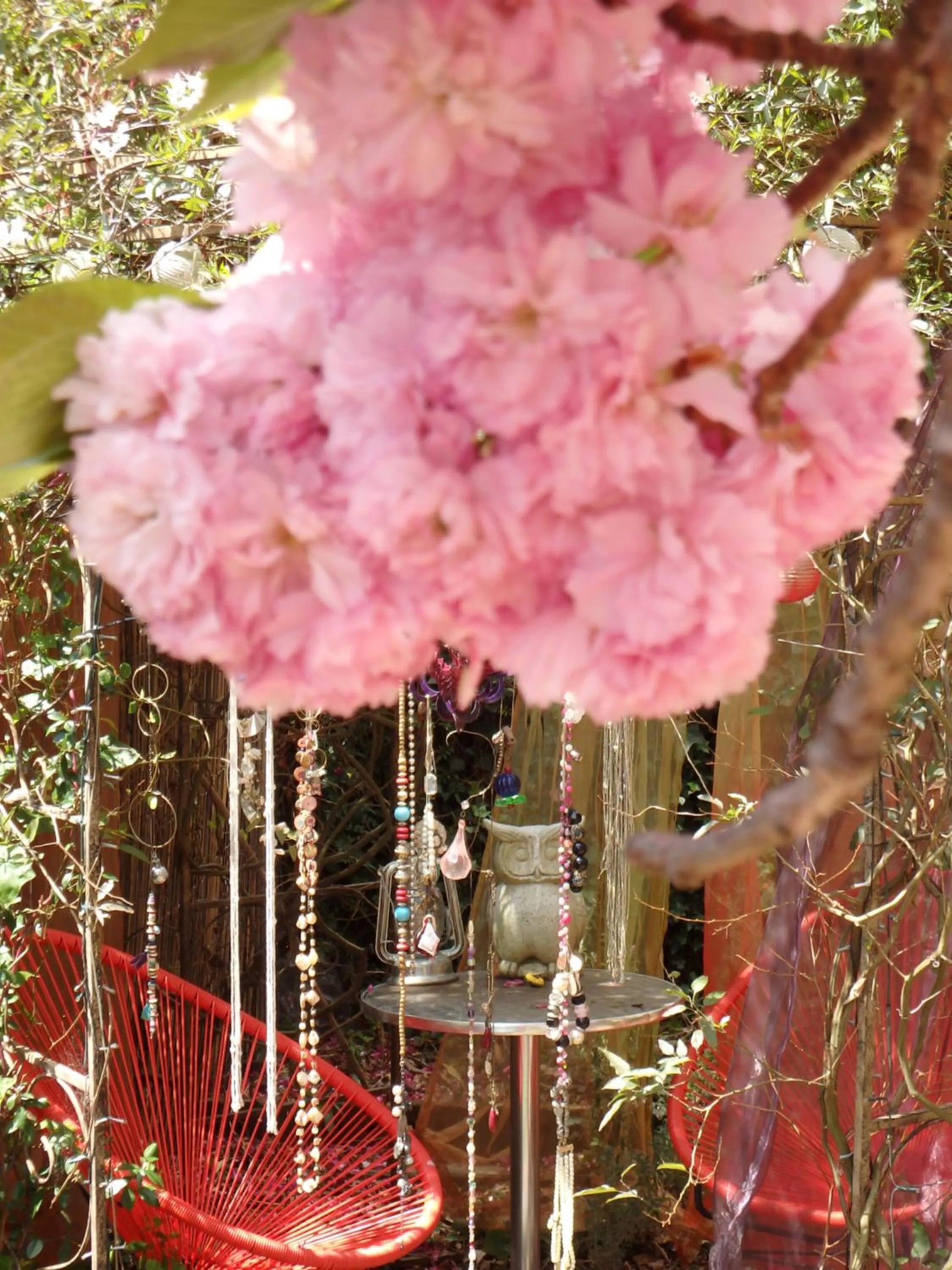 Spring in Bowral Road Art Gallery Bed and Breakfast