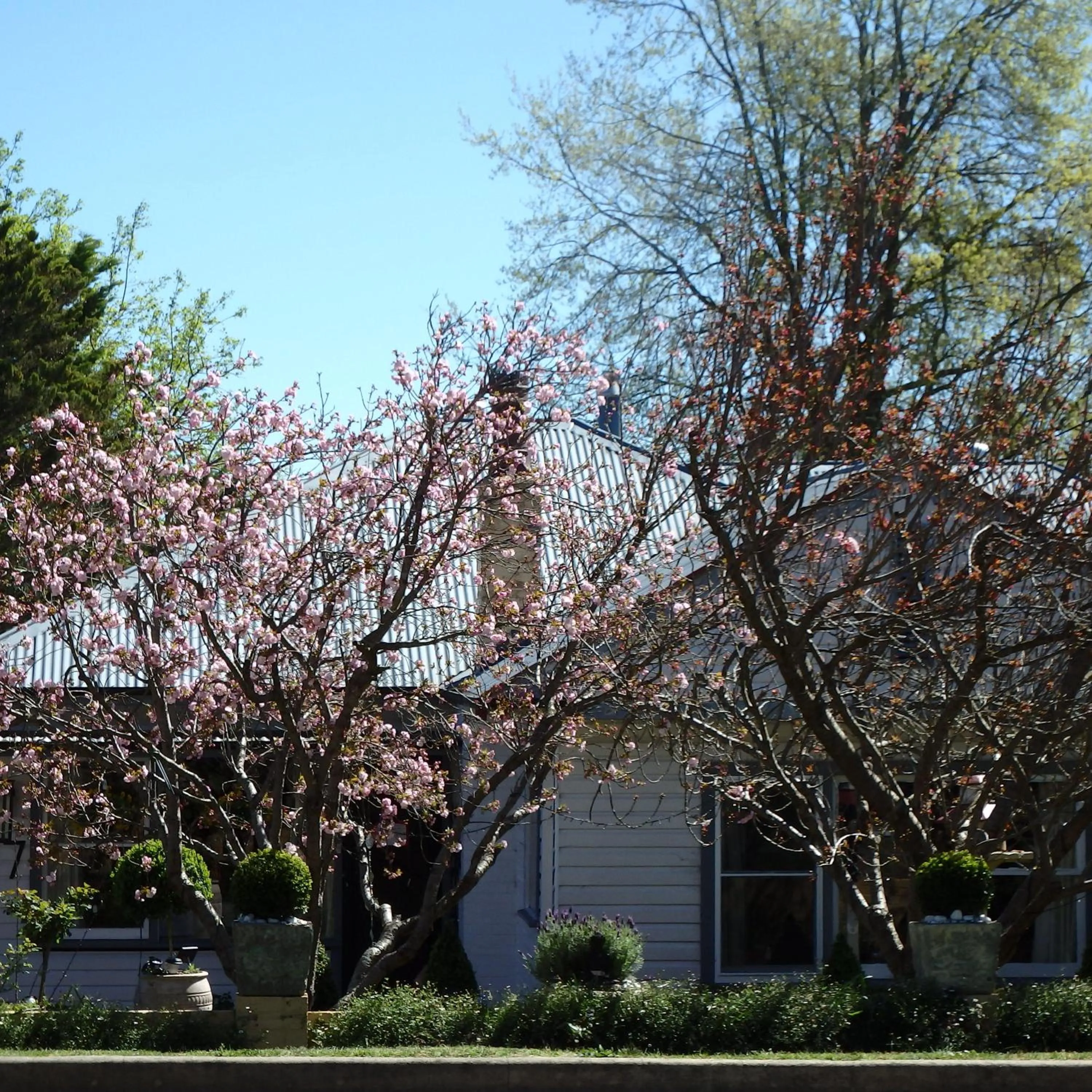 Facade/entrance in Bowral Road Art Gallery Bed and Breakfast