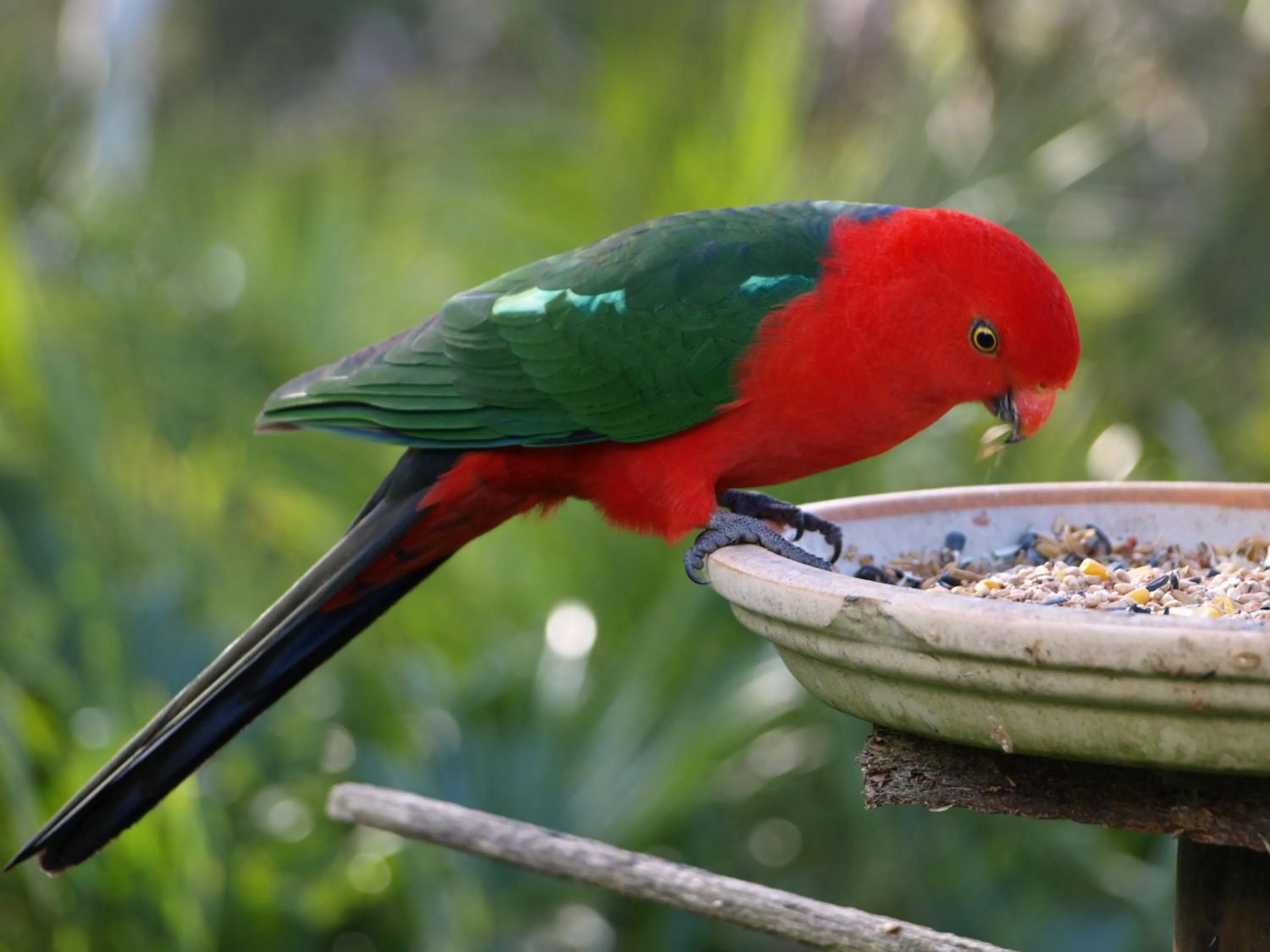 Day in Bowral Road Art Gallery Bed and Breakfast