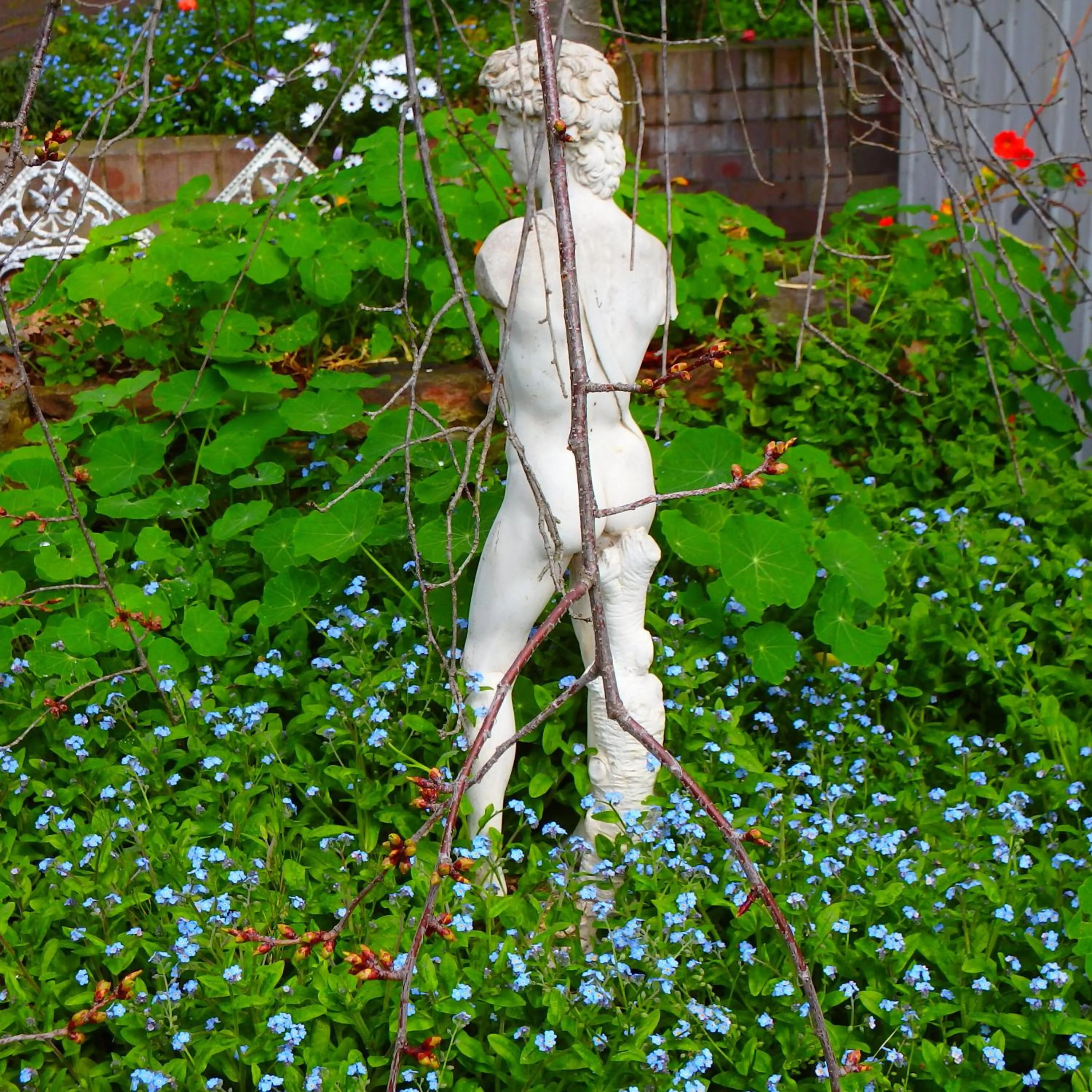Garden in Bowral Road Art Gallery Bed and Breakfast