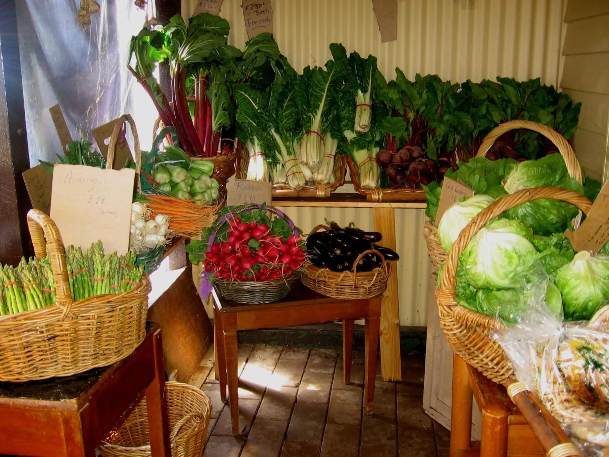 Area and facilities in Bowral Road Art Gallery Bed and Breakfast