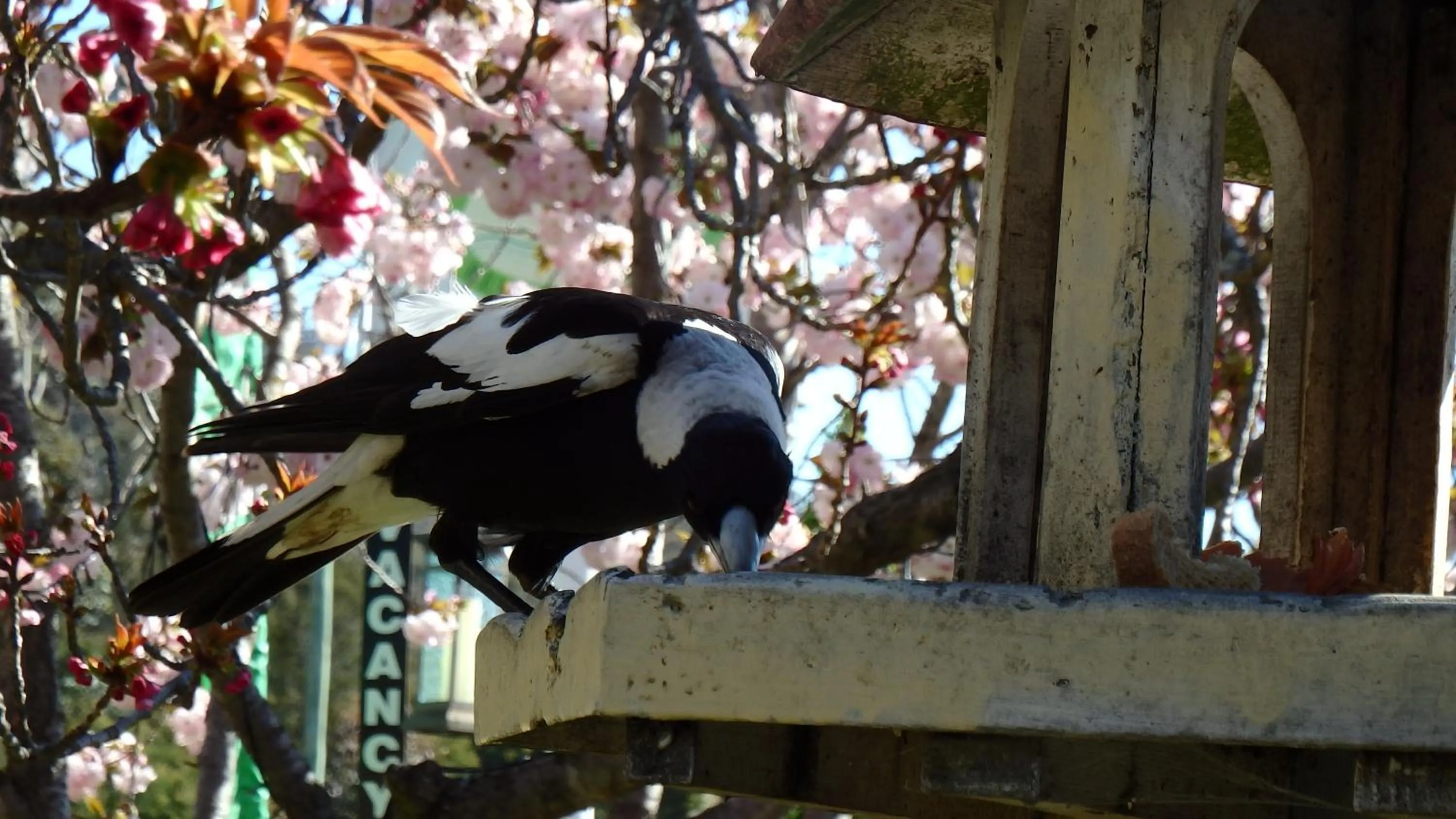 Day in Bowral Road Art Gallery Bed and Breakfast