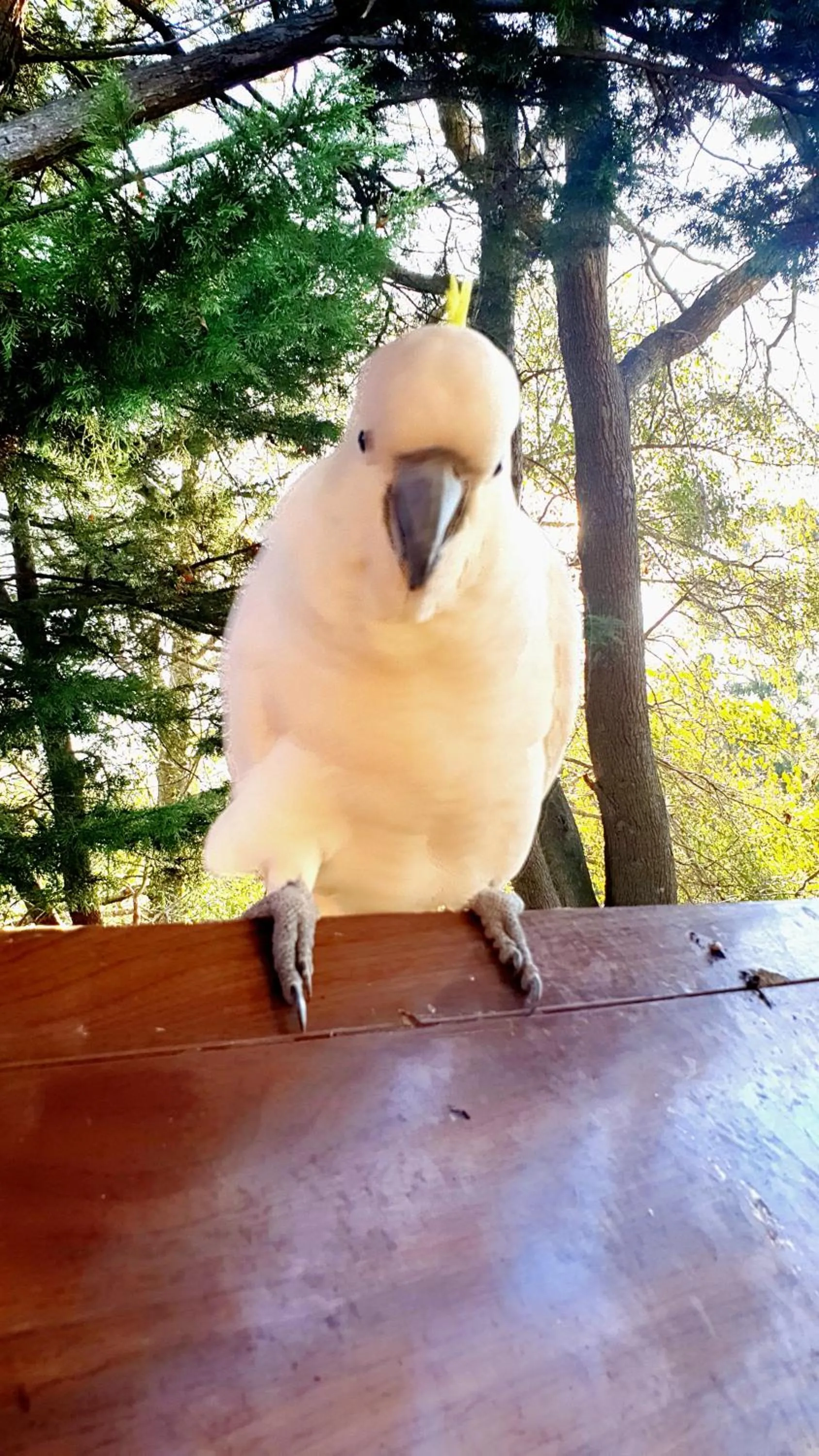 Bowral Road Art Gallery Bed and Breakfast