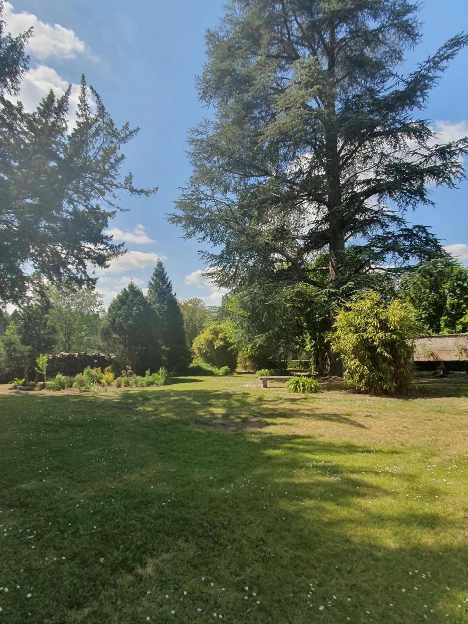 Garden in Chambres d'Hôtes des Rouets
