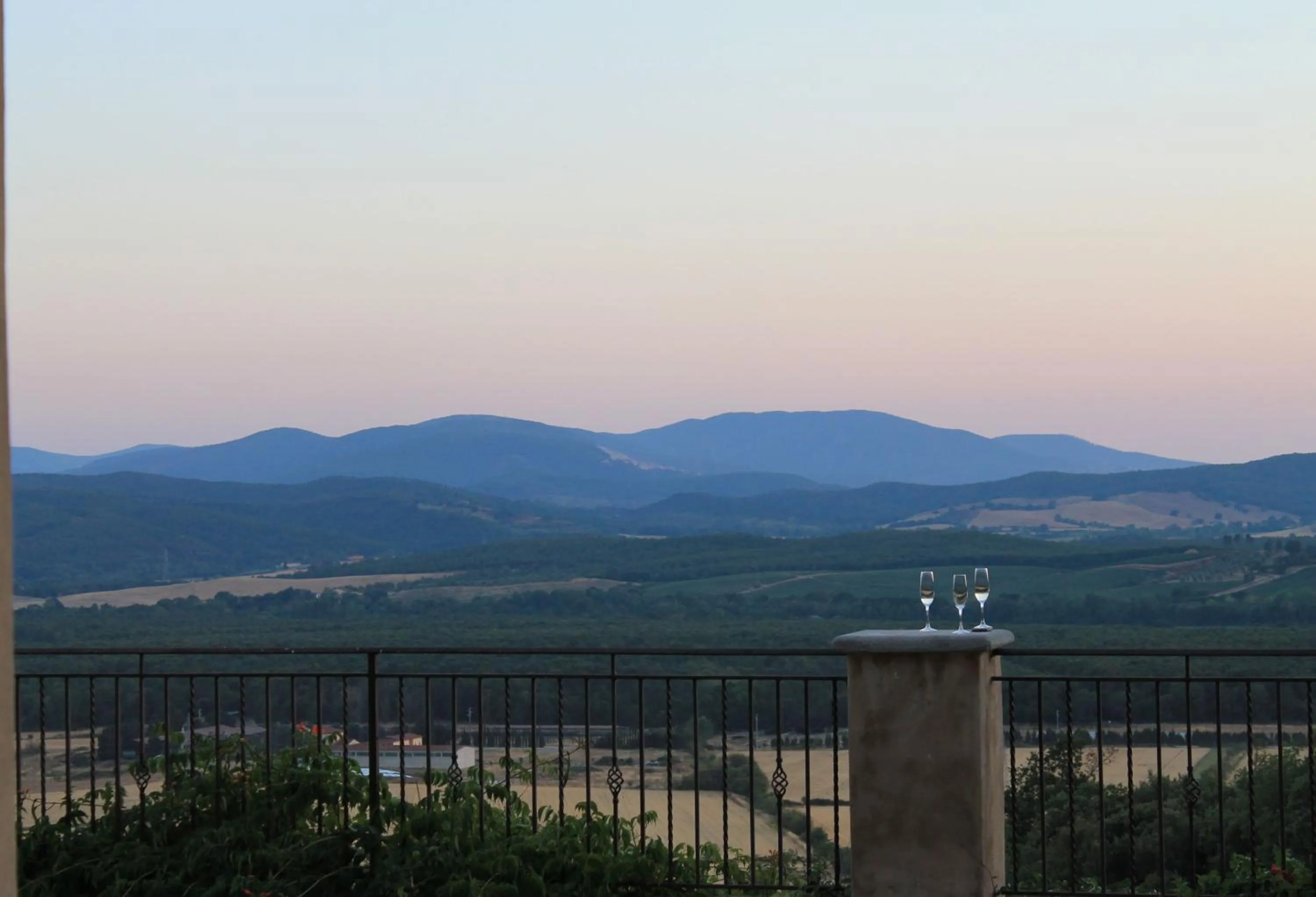 Natural landscape in Tenuta il Sassone - Wine&Food