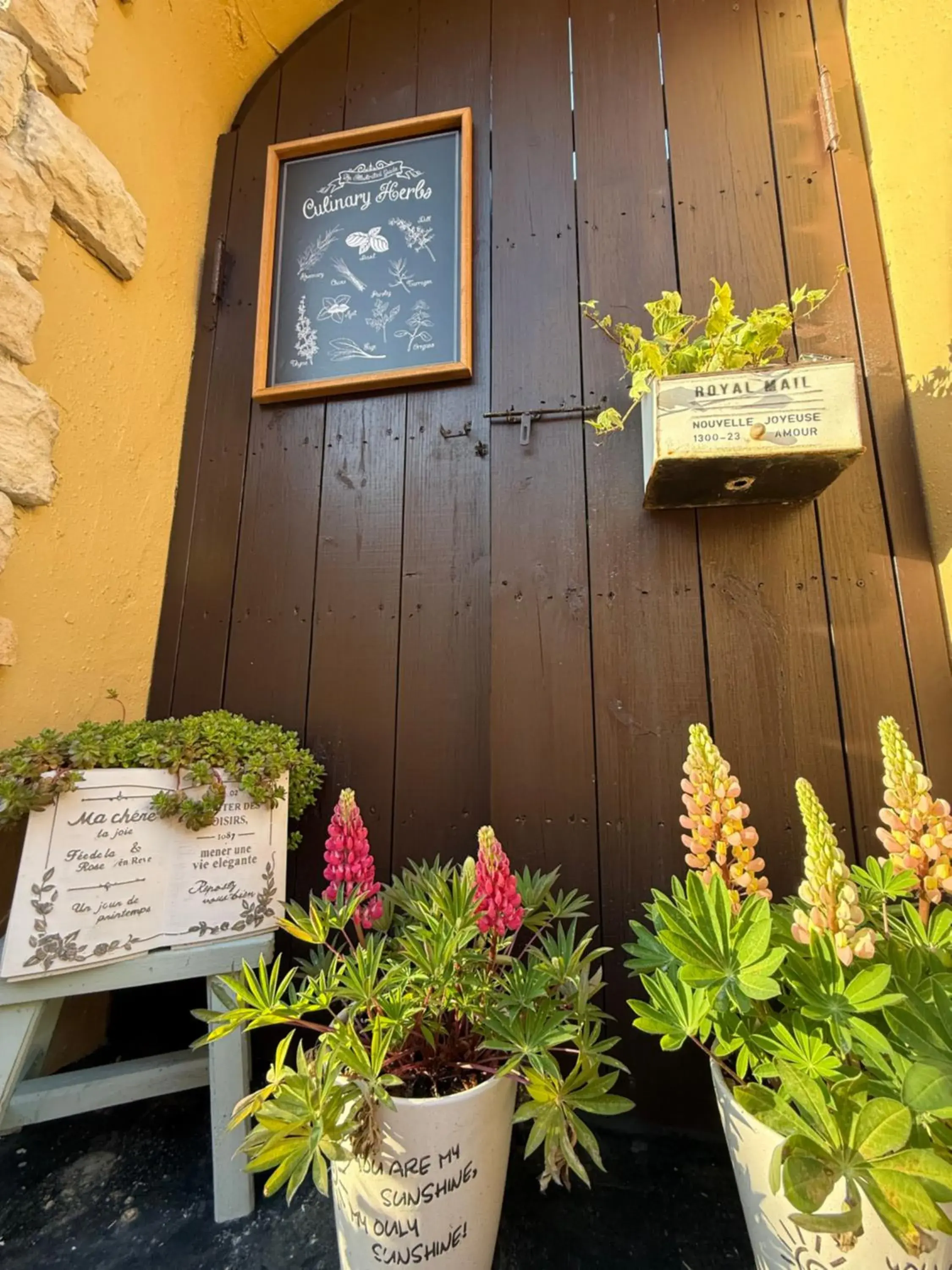 Alishan Tea Garden B&B Alishan Tea Garden B&B