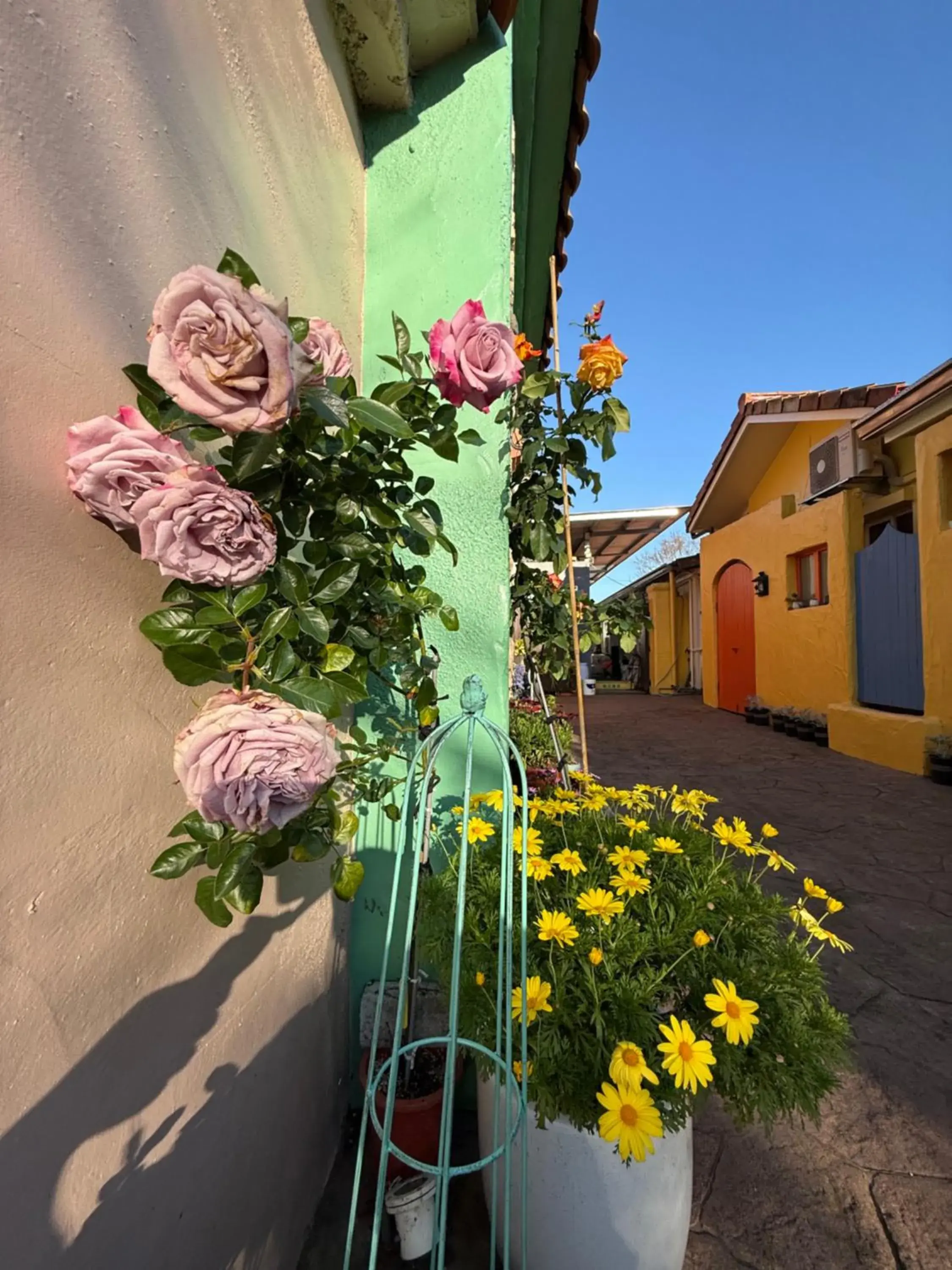 Alishan Tea Garden B&B Alishan Tea Garden B&B