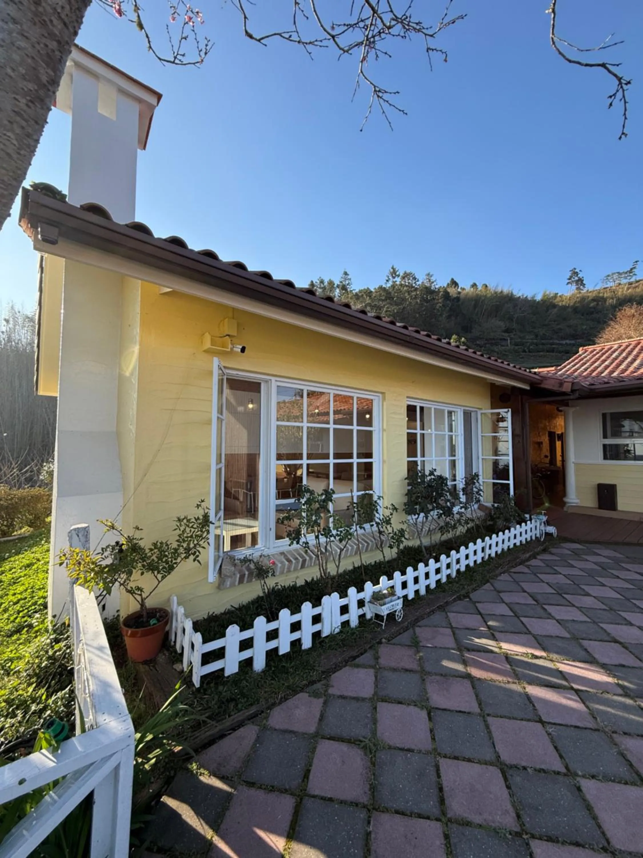 Alishan Tea Garden B&B