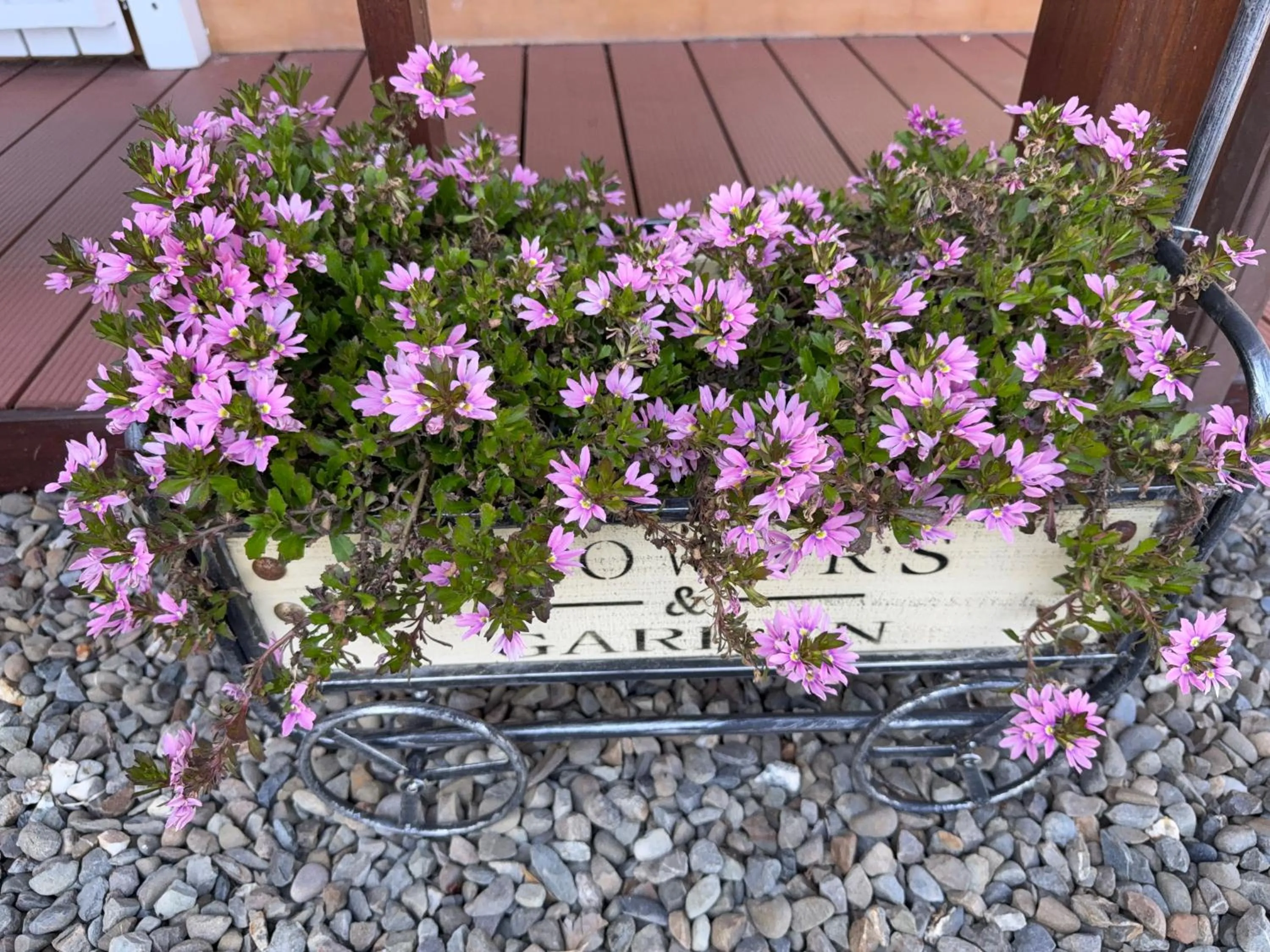 Alishan Tea Garden B&B