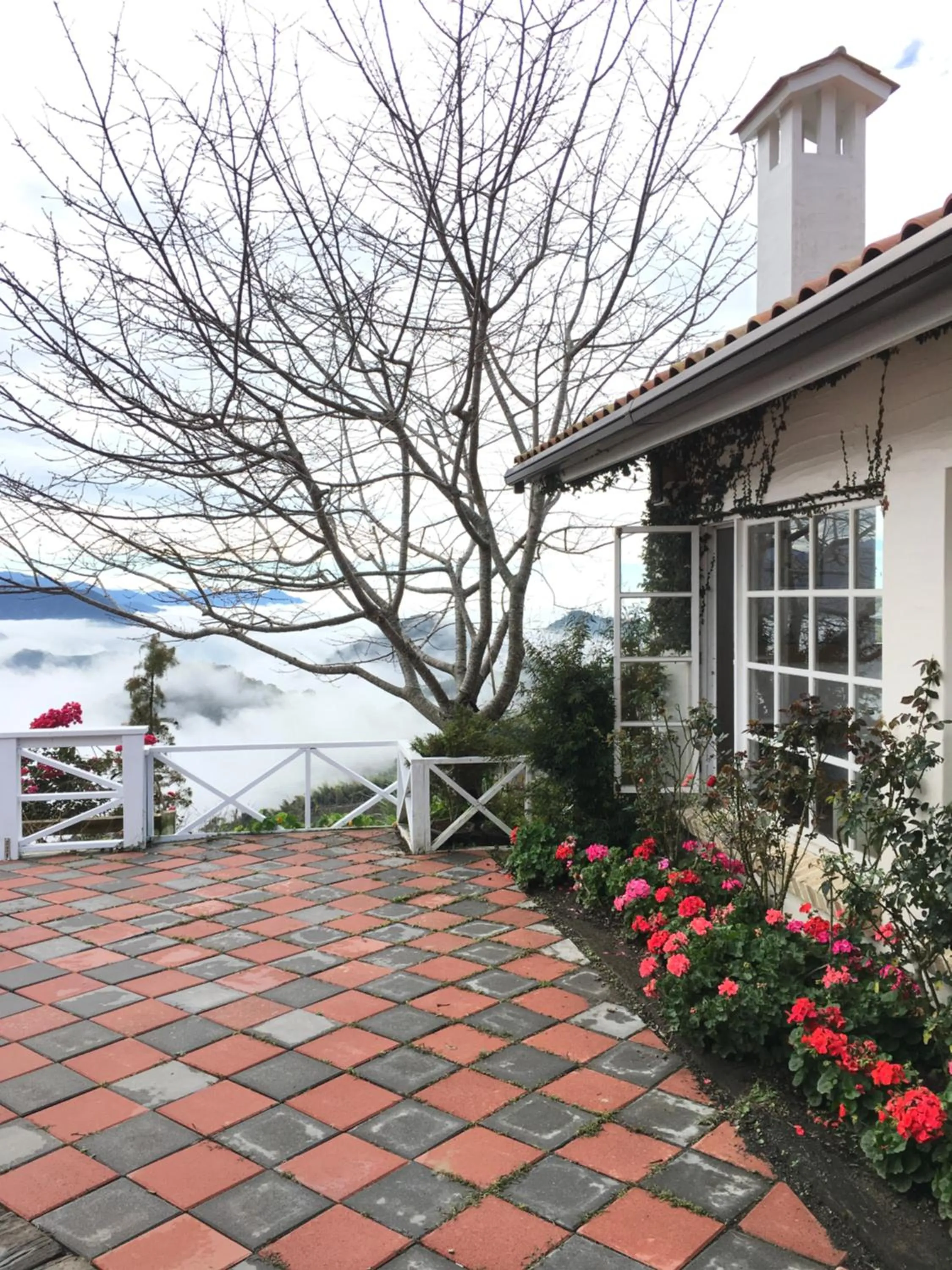 Alishan Tea Garden B&B