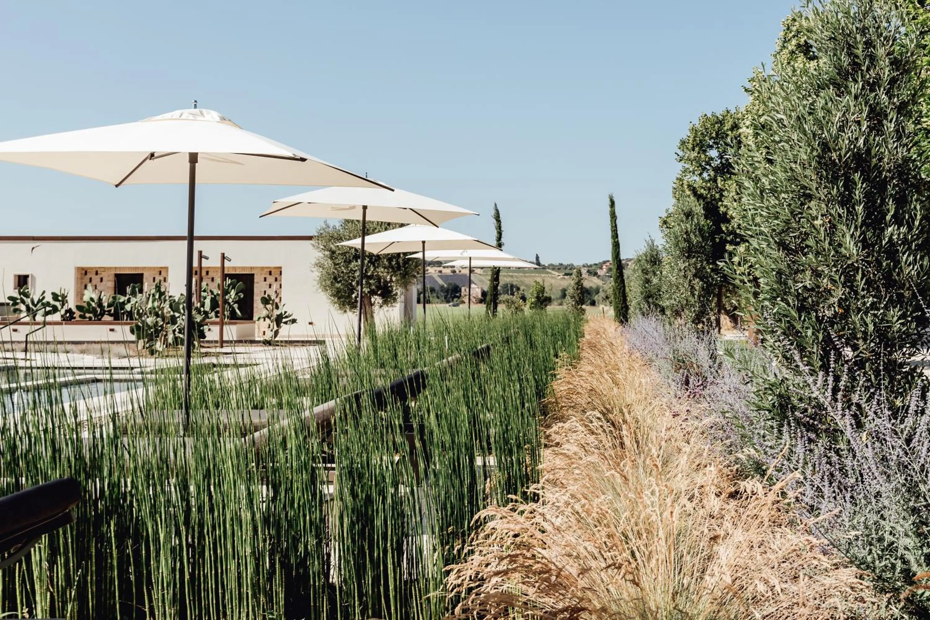 Garden in Villa Corallo
