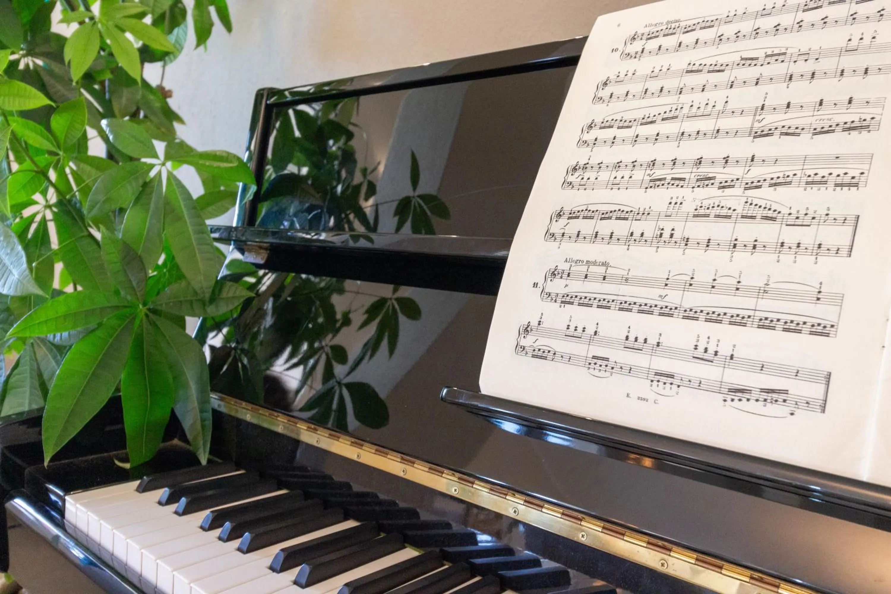 Decorative detail in New Ca'Mea