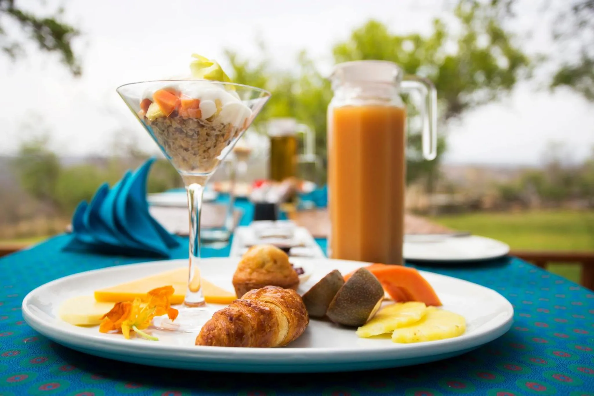 Food close-up in isiLimela Game Lodge