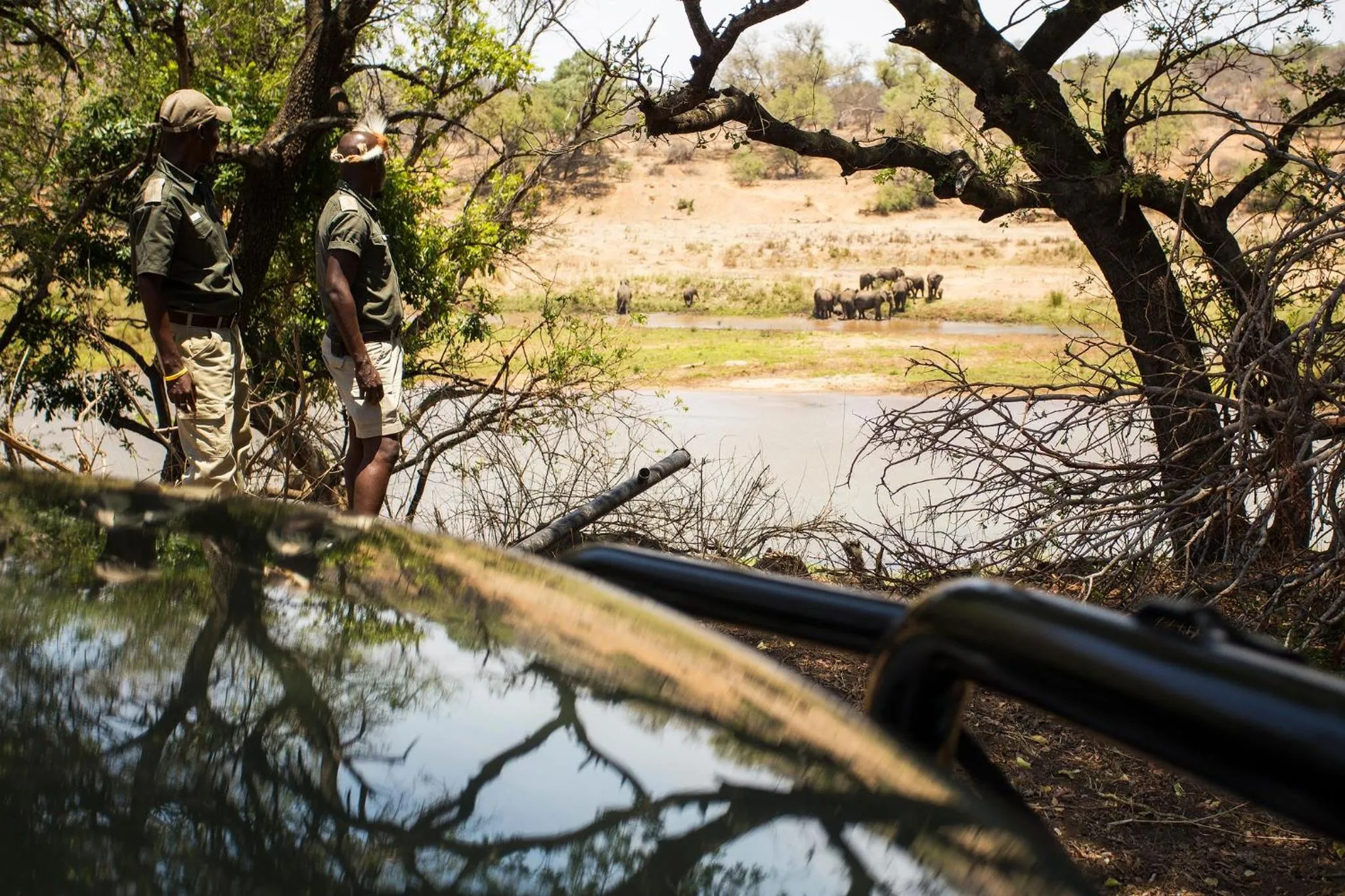 Activities in isiLimela Game Lodge