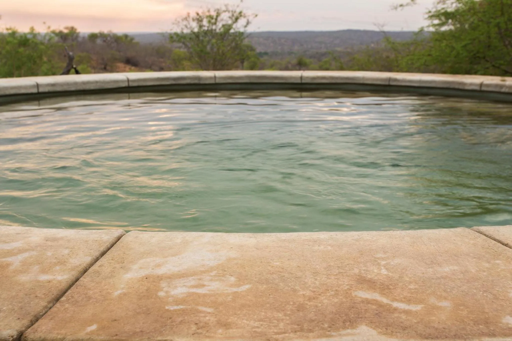 Swimming pool in isiLimela Game Lodge