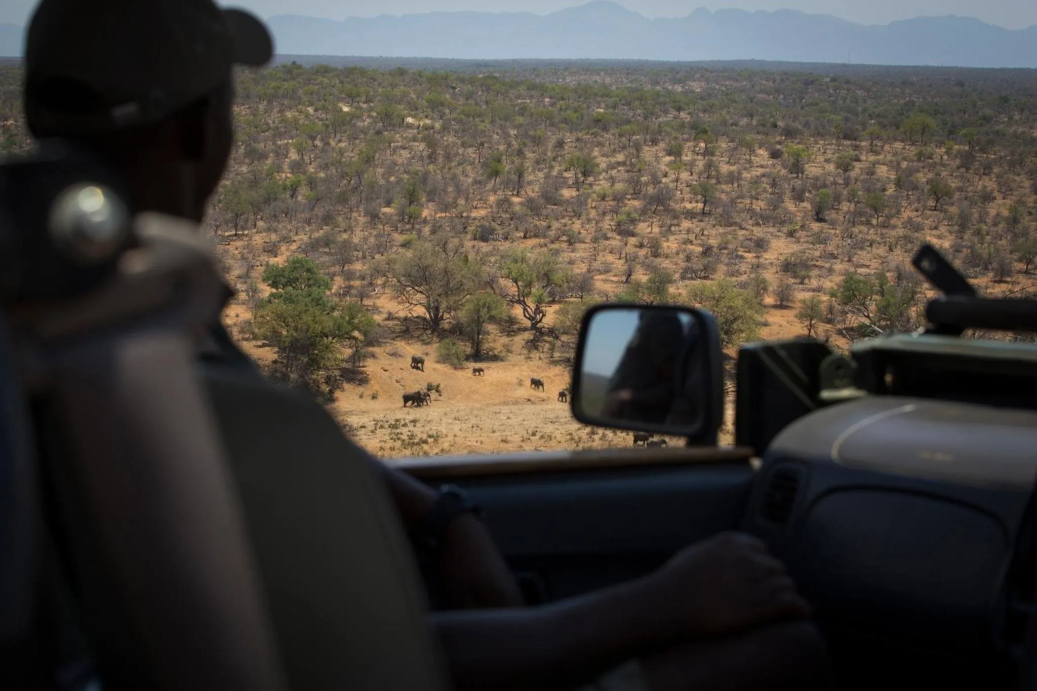 Activities in isiLimela Game Lodge