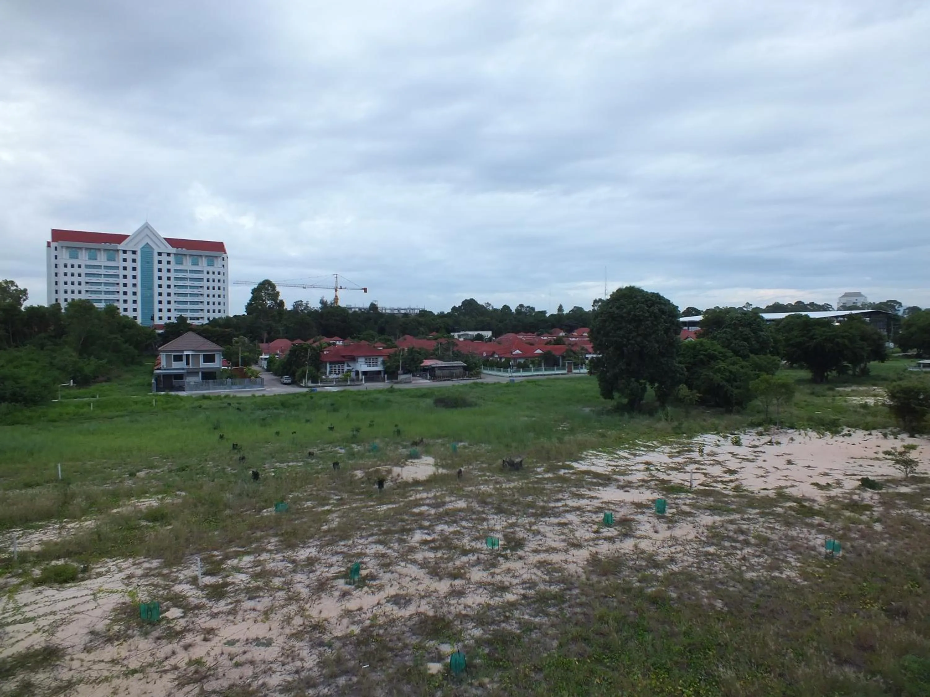 Natural landscape in Hub de Leaf @ Rayong
