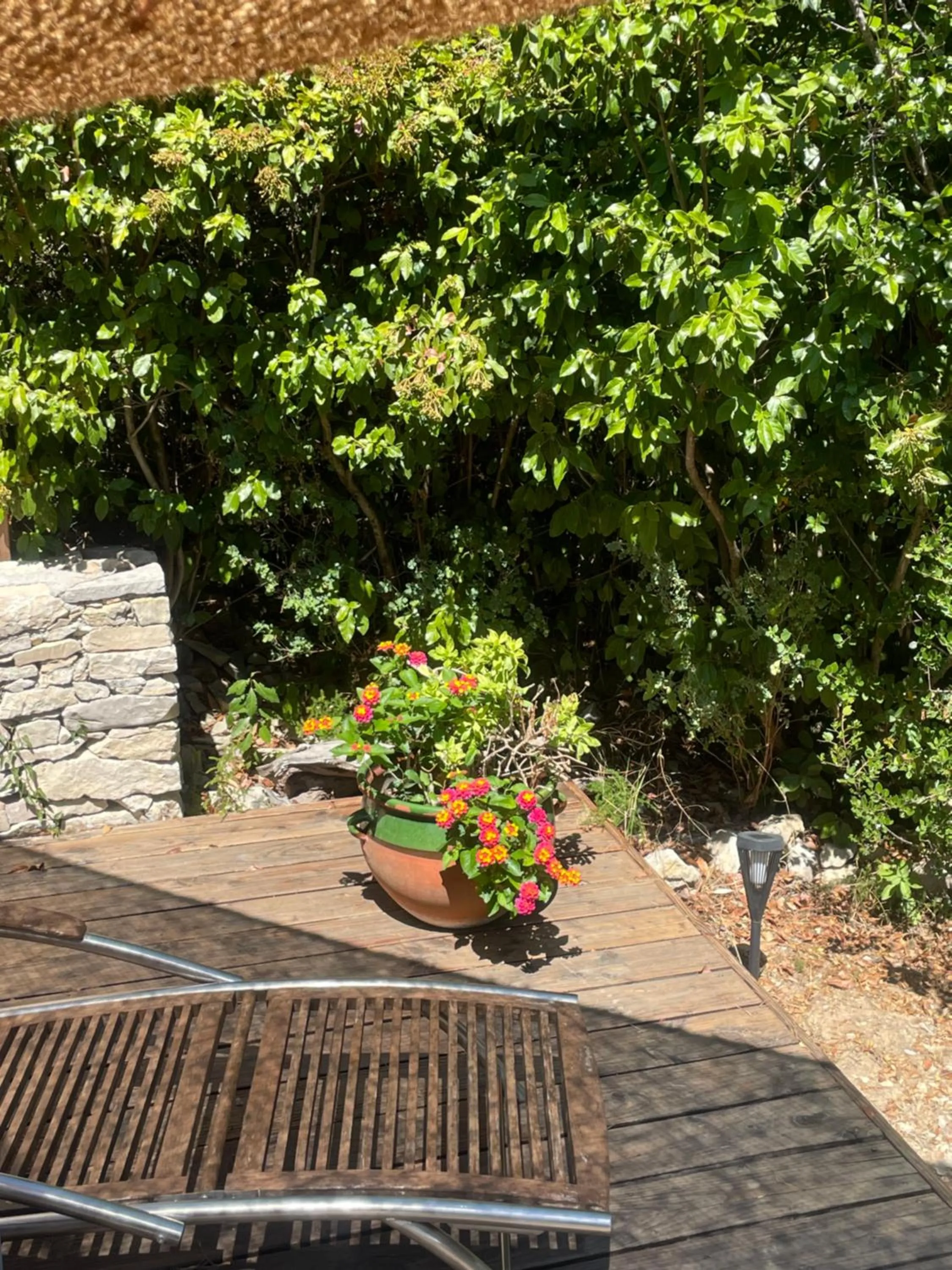 Garden in La Chambre Haute et son jardin dans les hauteurs de Nîmes