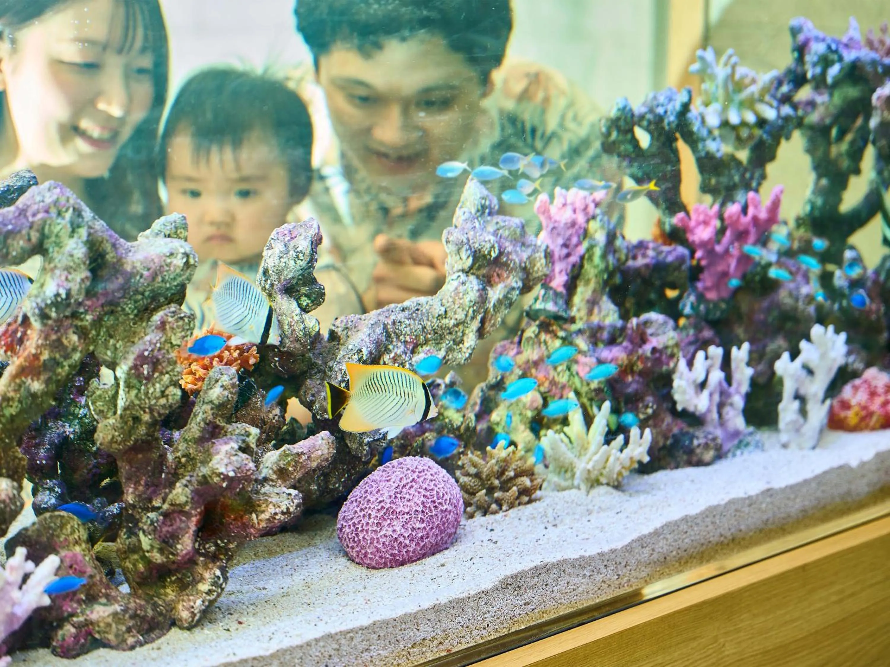 People in Daiwa Roynet Hotel Naha Kokusaidori