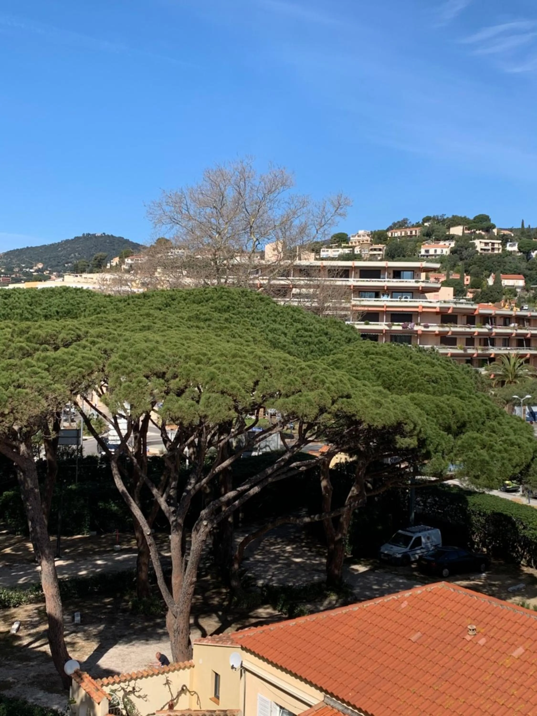 Garden view in Hôtel Beau Rivage