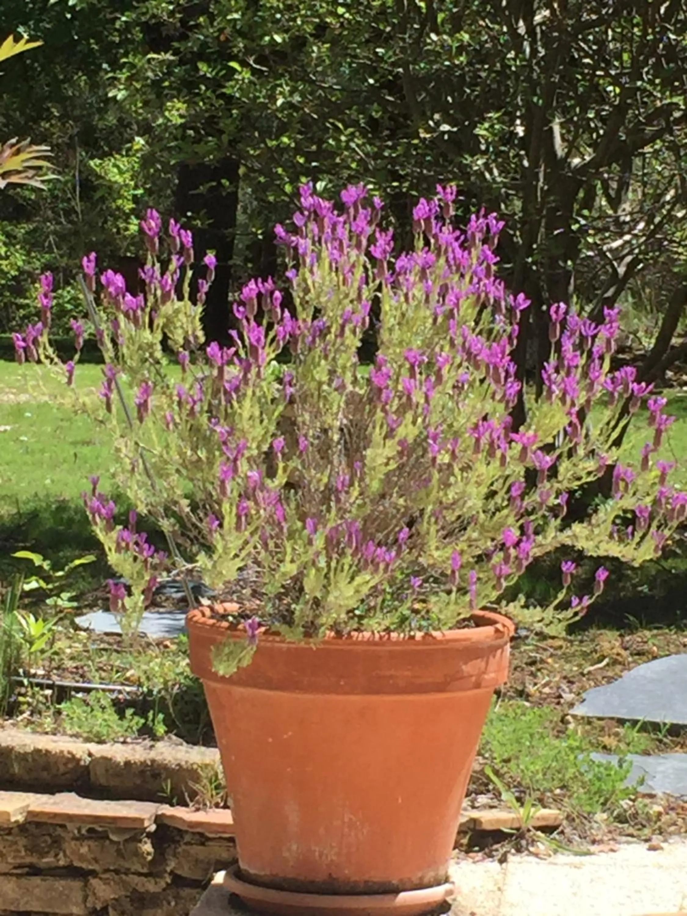 Property building in Le Mas des Chênes