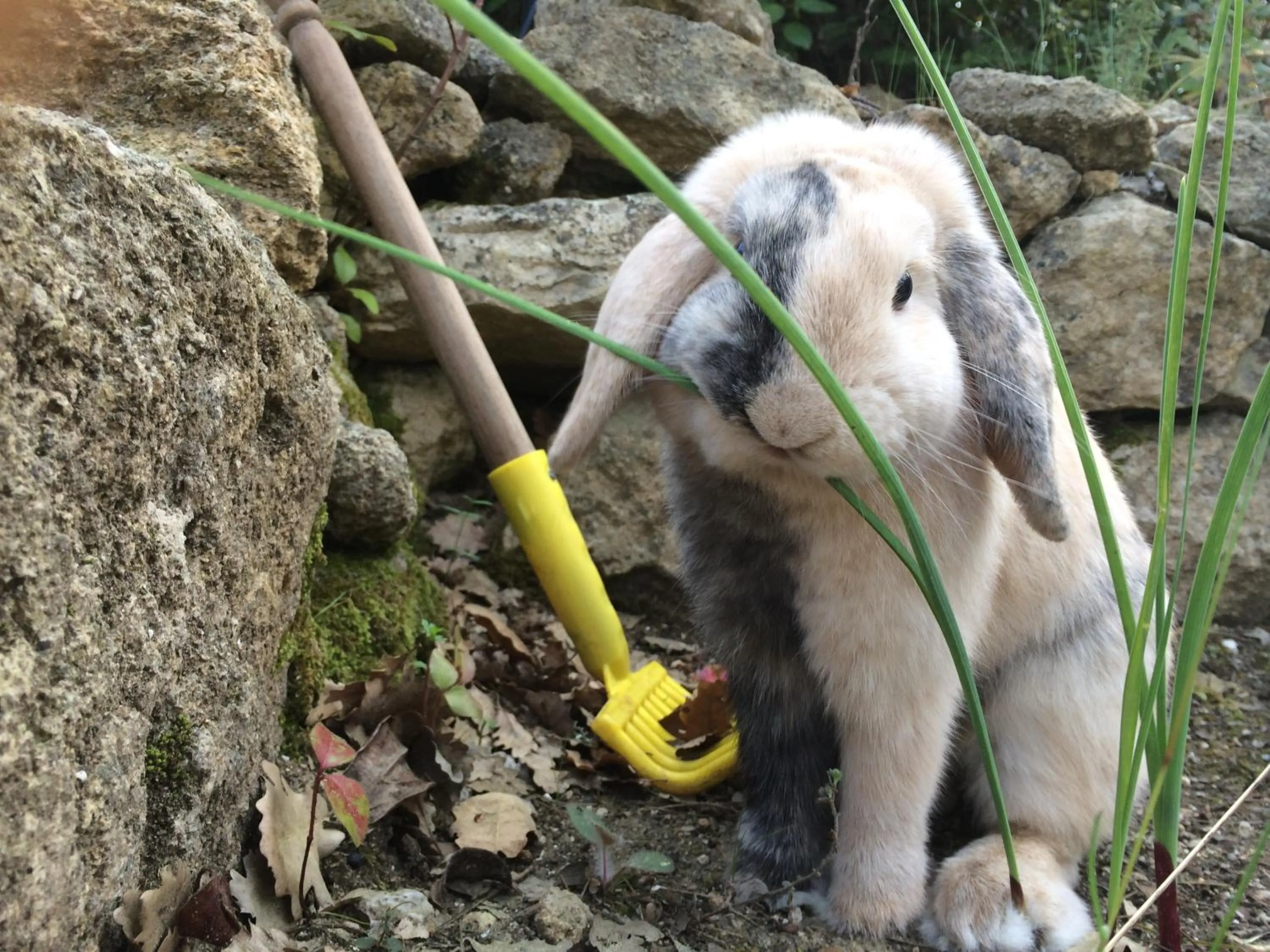 Property building in Le Mas des Chênes