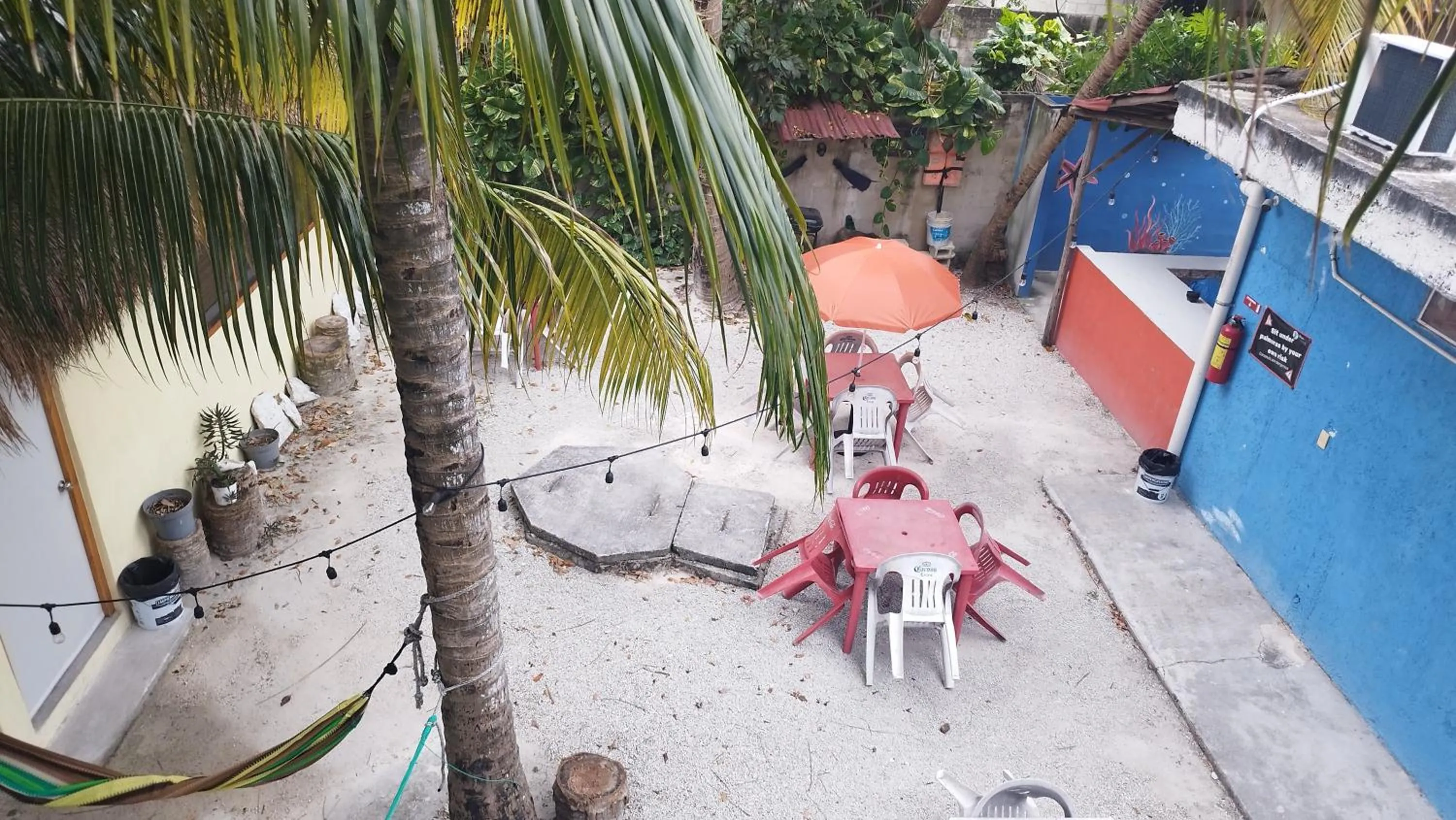 Garden in Blue Magic Hostel