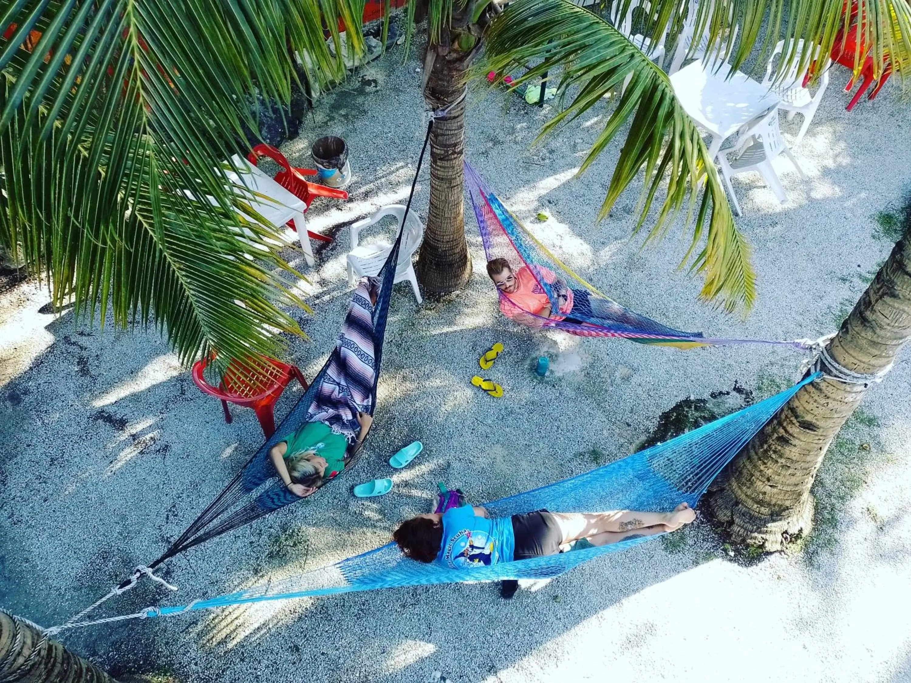 Blue Magic Hostel Blue Magic Hostel