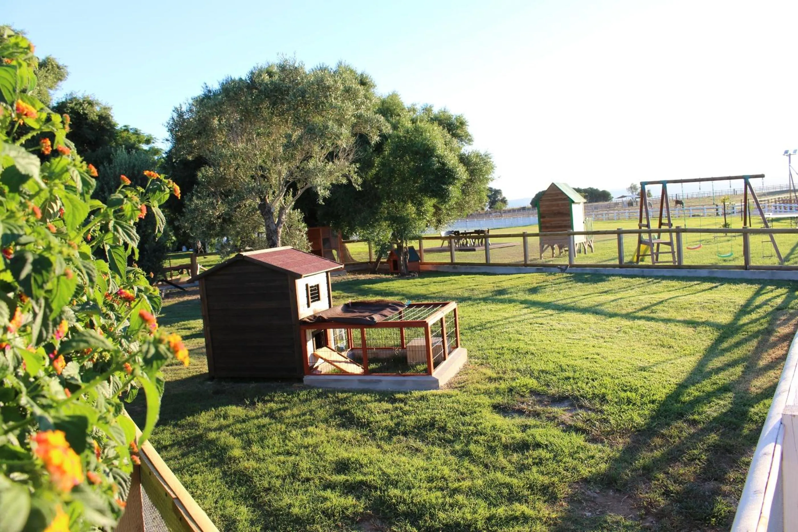 Pets in Cortijo El Indiviso