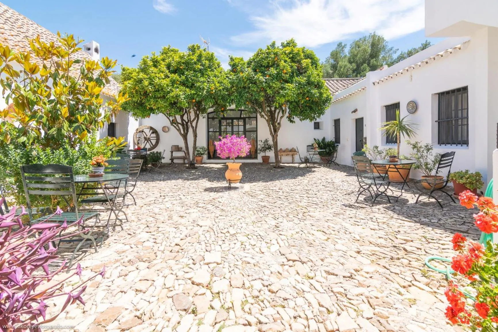 Property building in Cortijo El Indiviso