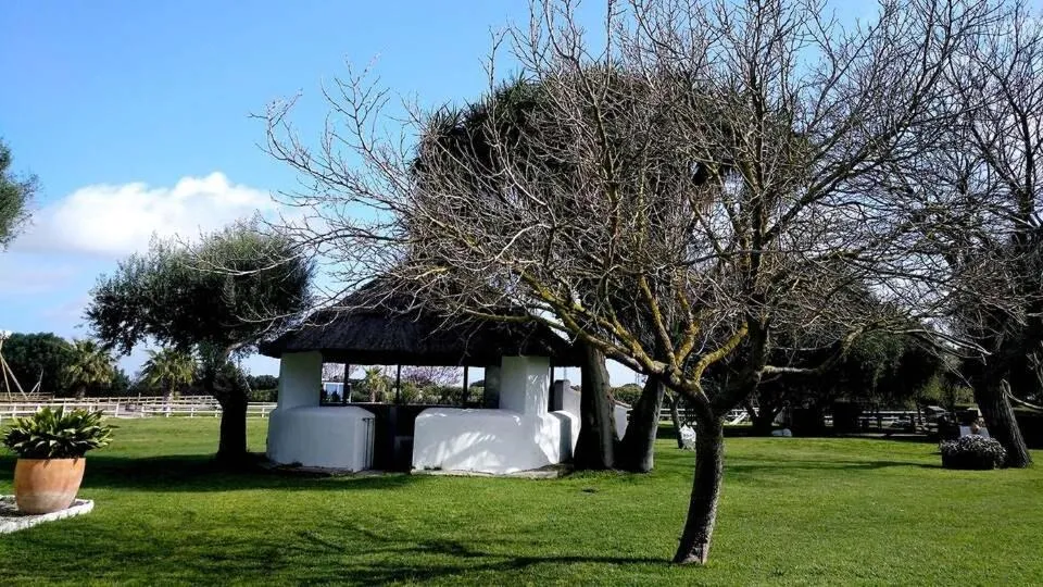 View (from property/room) in Cortijo El Indiviso