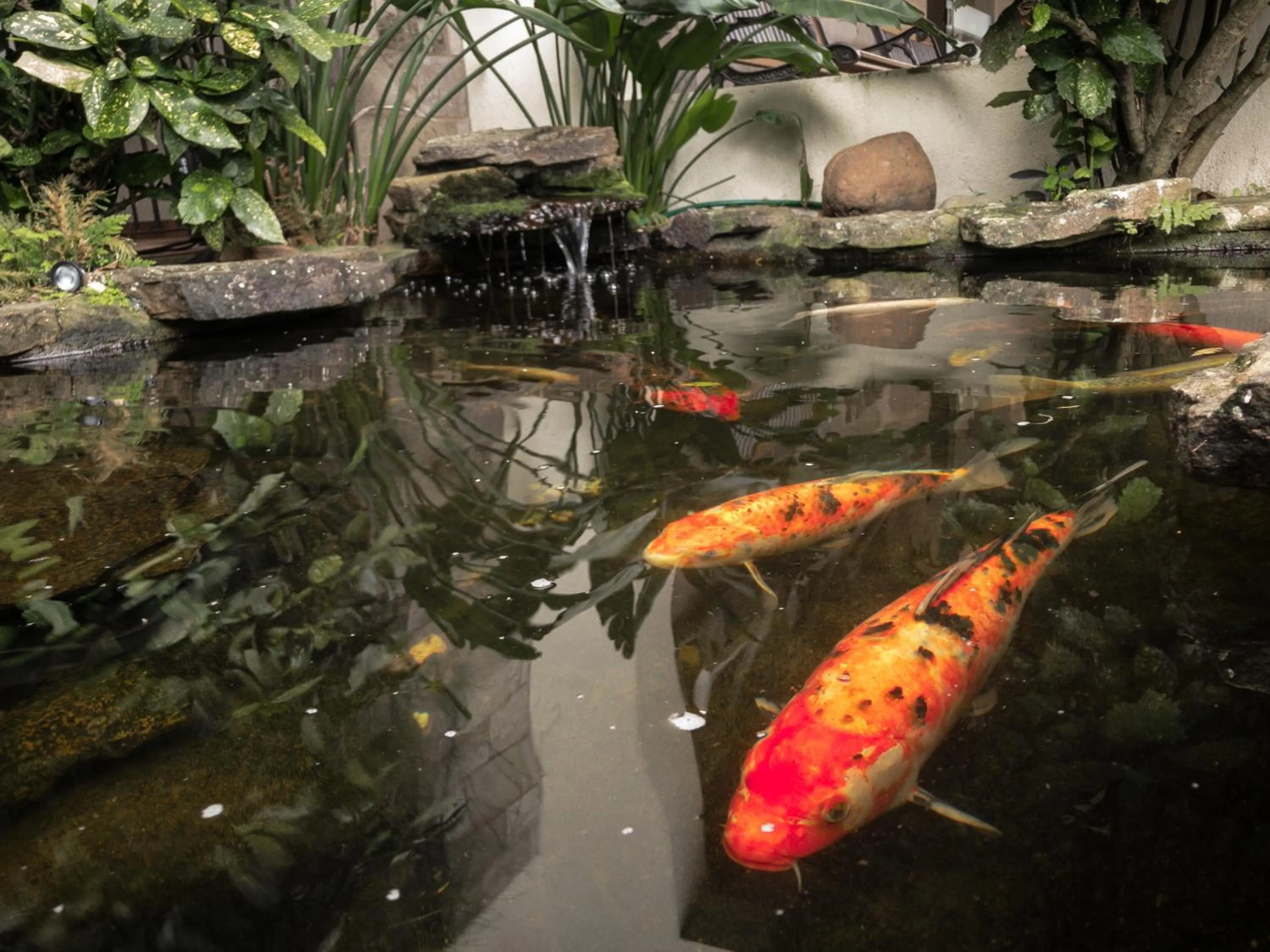 Lake view in Pousada Serrana