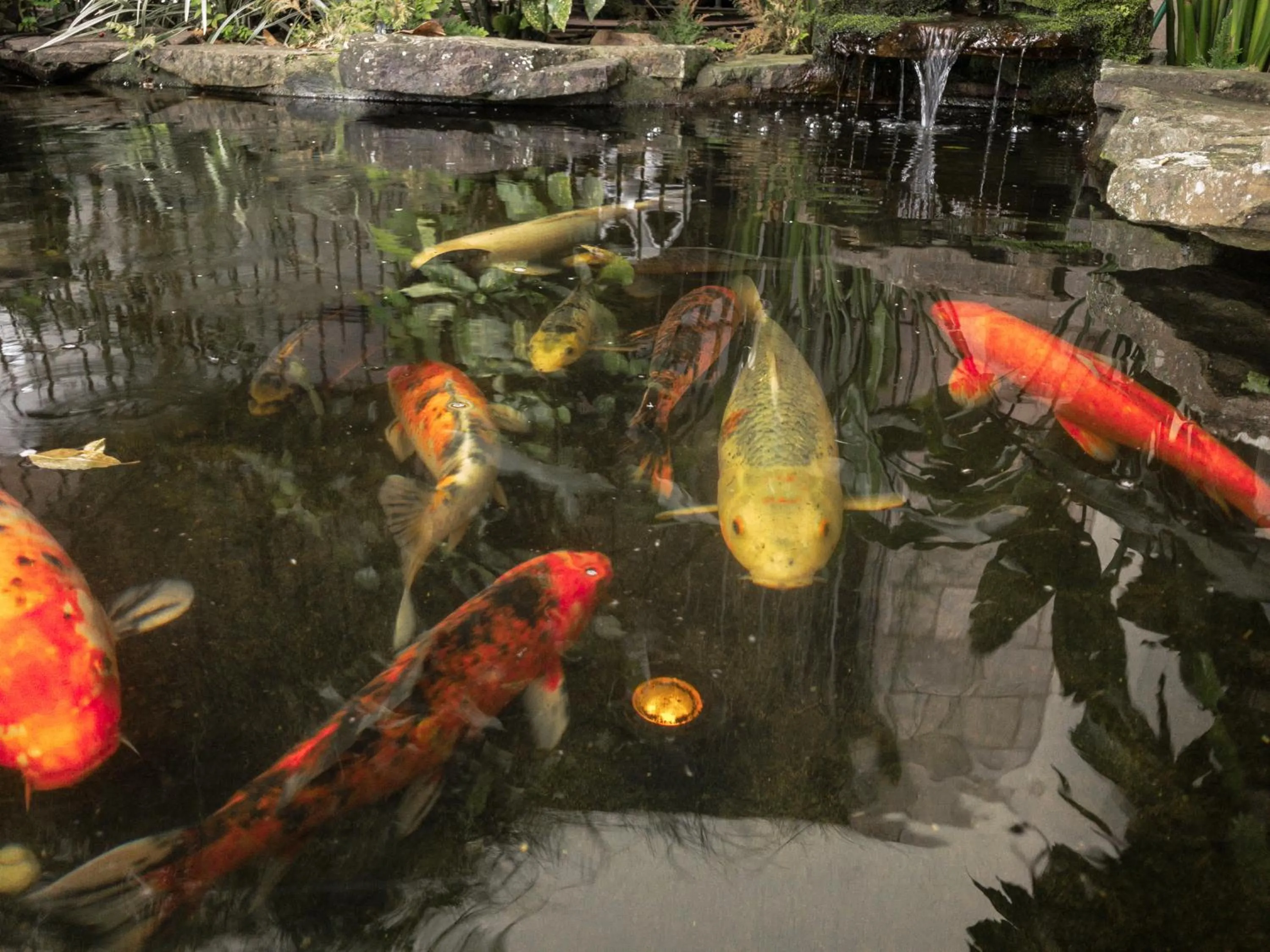 Lake view in Pousada Serrana