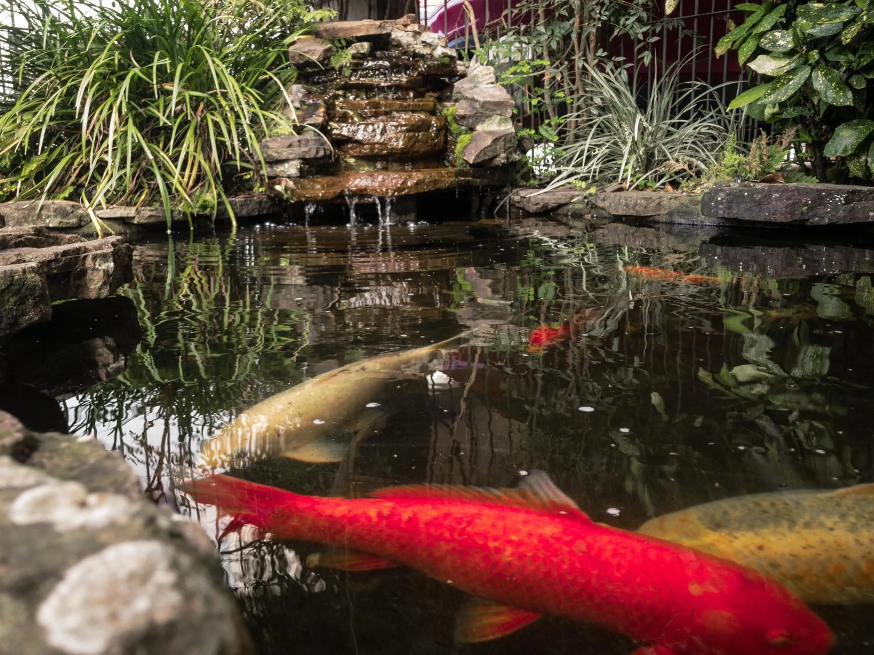 Lake view in Pousada Serrana