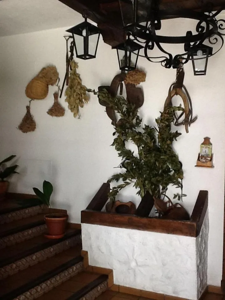 Decorative detail in Hotel Posada San Antonio