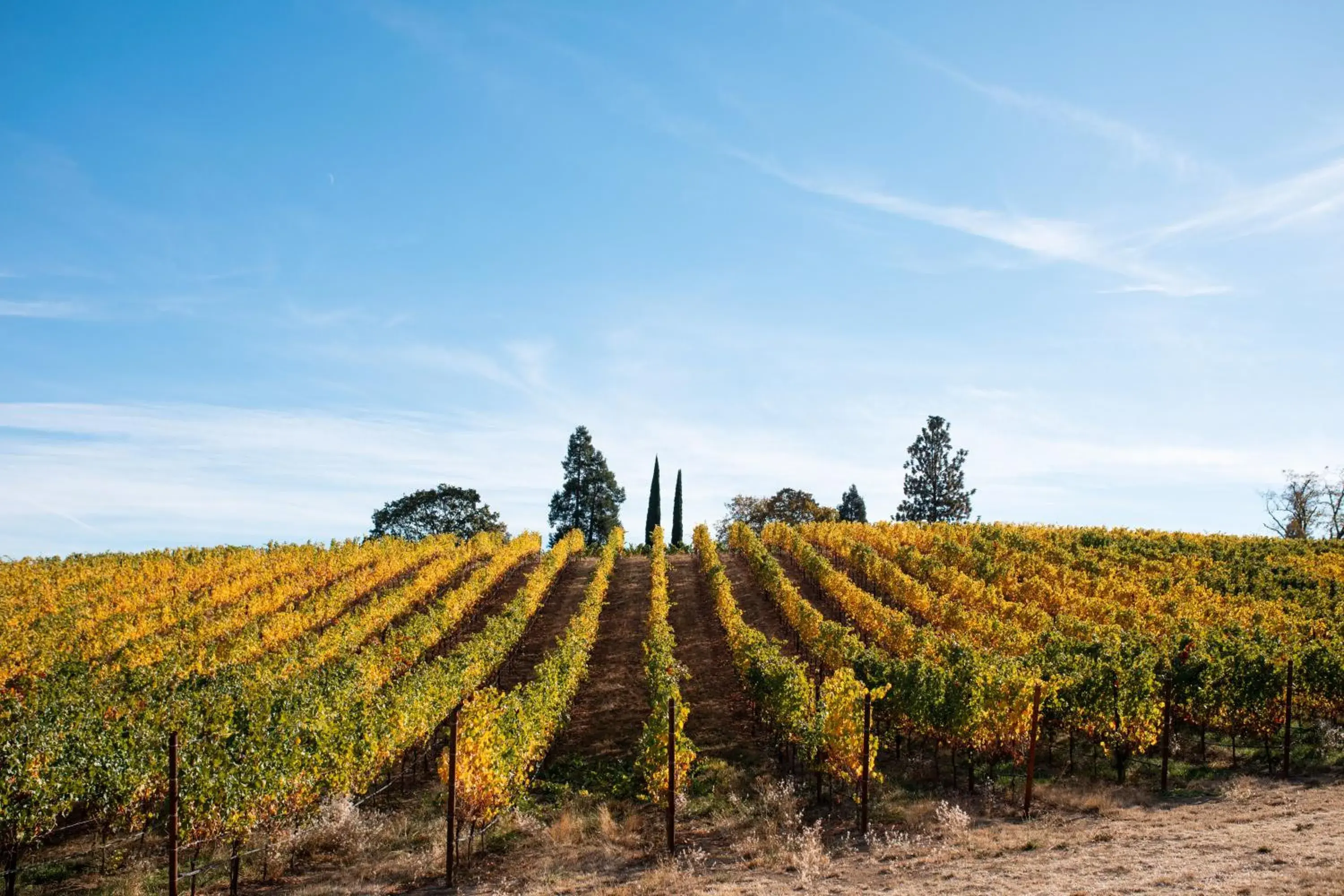 View (from property/room) in Hummingbird Estate View (from property/room) in Hummingbird Estate