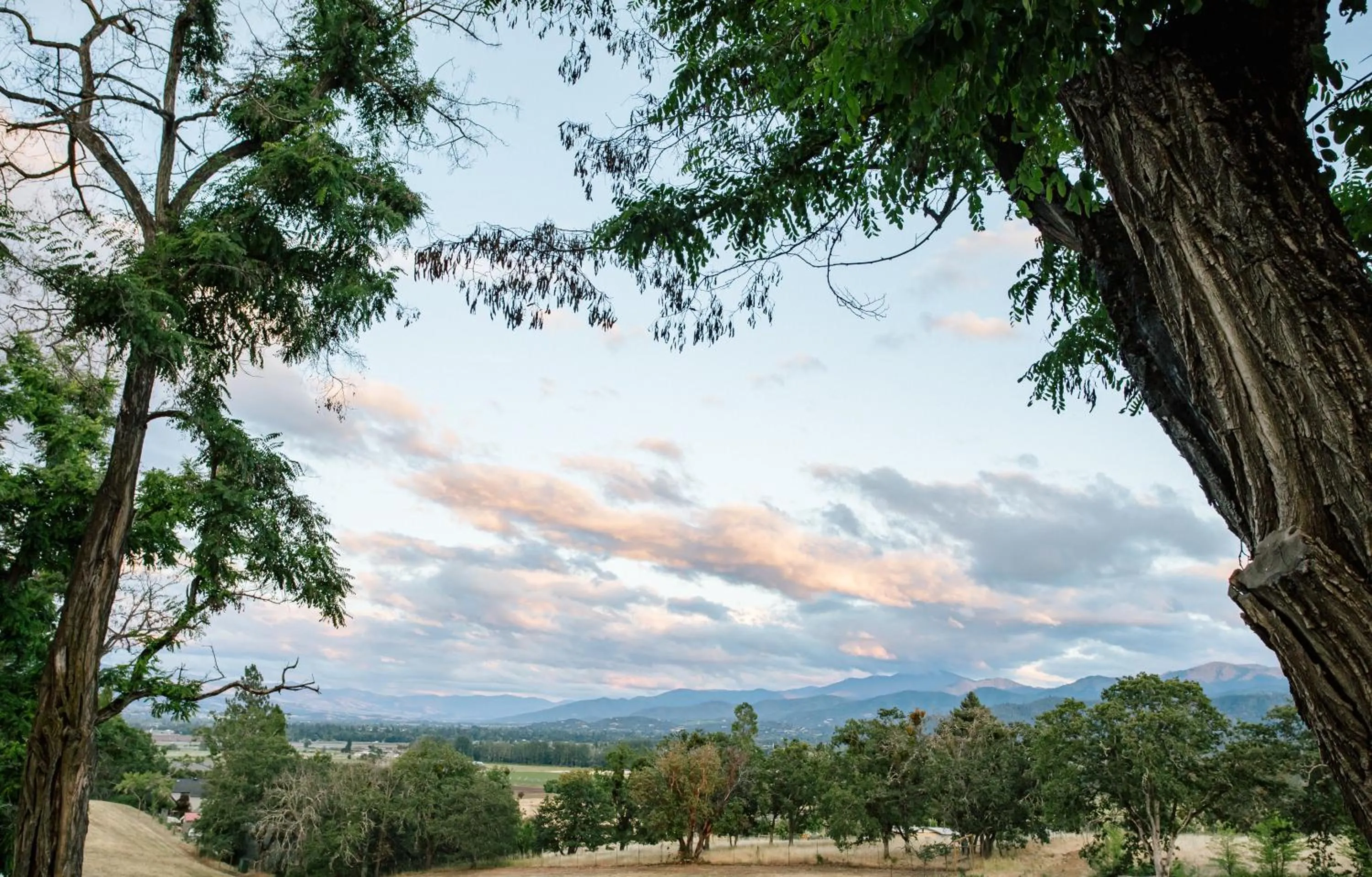 Bird's eye view in Hummingbird Estate