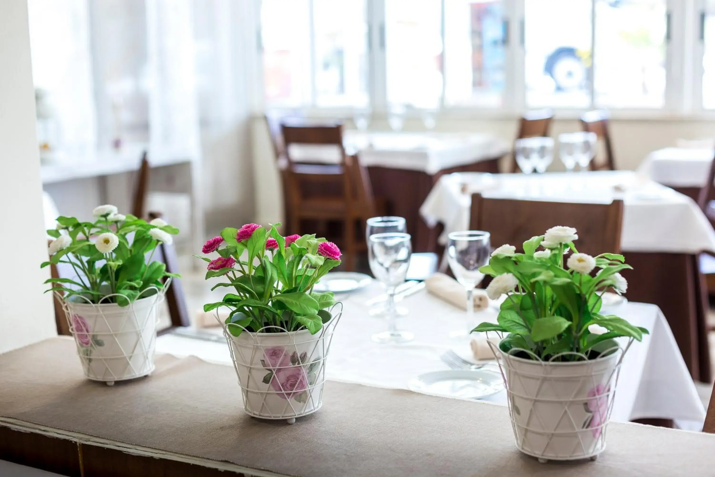 Restaurant/places to eat in Complejo Roma Restaurant/places to eat in Complejo Roma