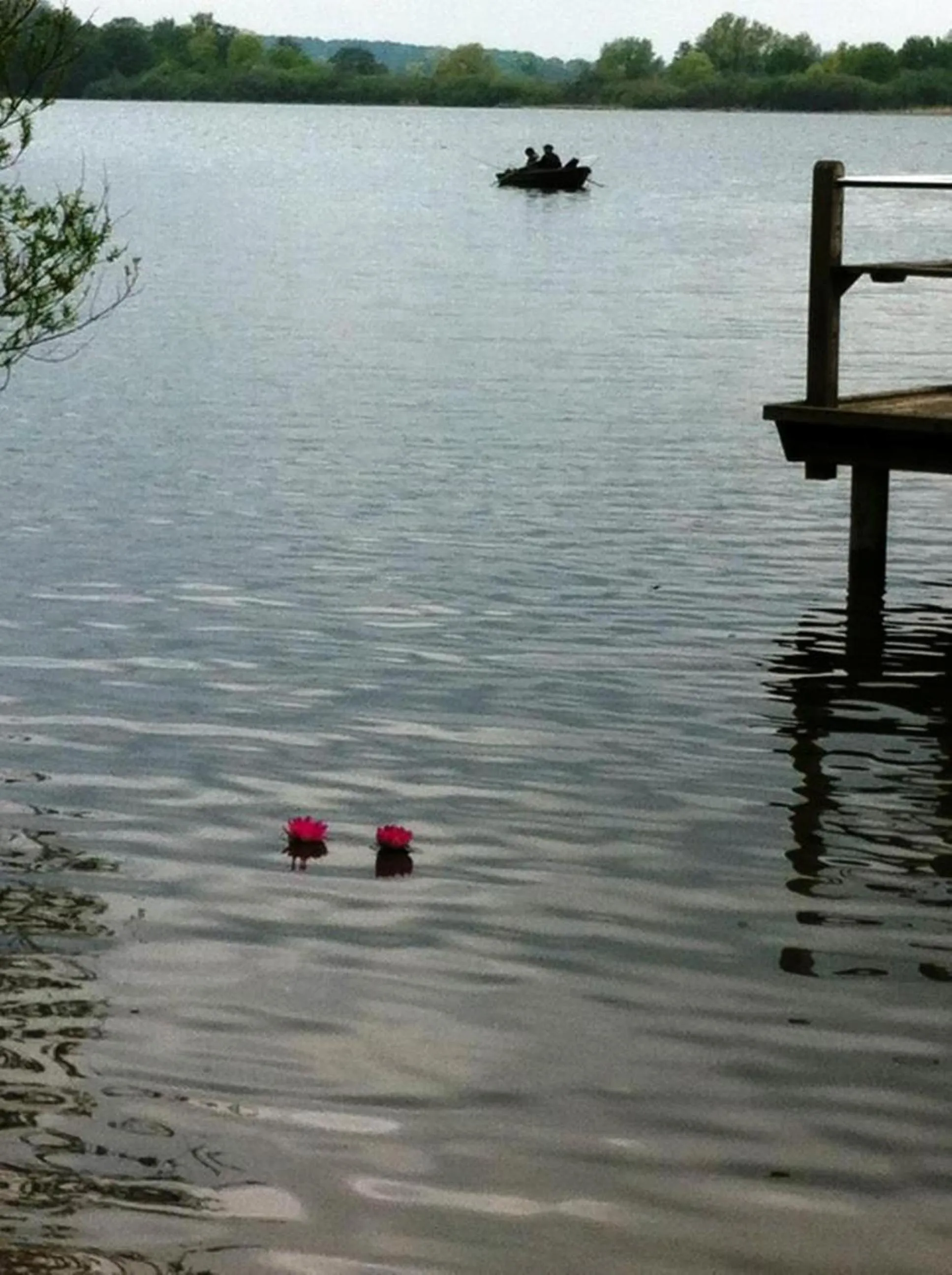 View (from property/room) in Hotel Seeufer